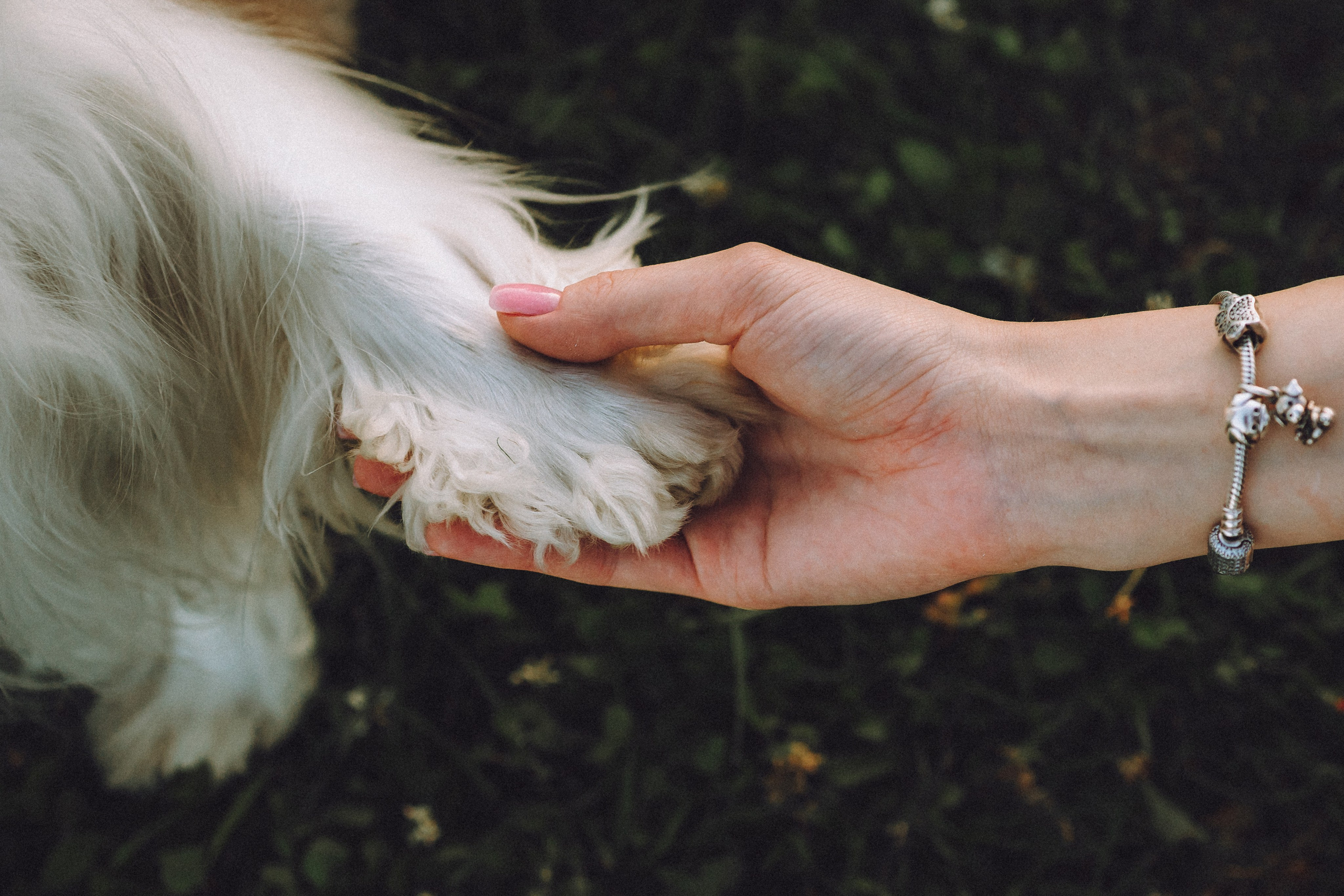 Наташа и Вики