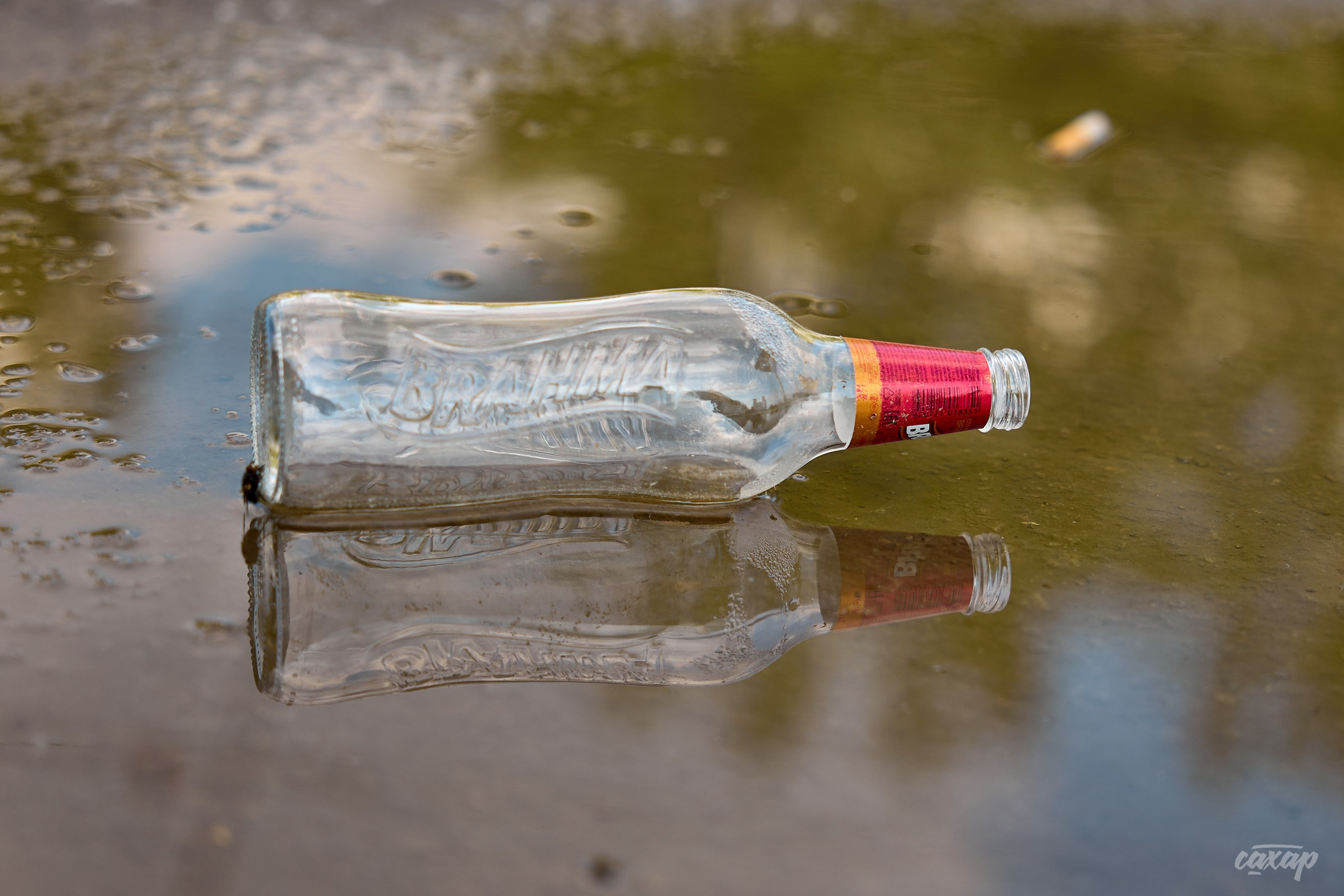 Что вижу, то и пою! от 2024_06_11. Профессиональный фотограф в Екатеринбурге Юра Сахар