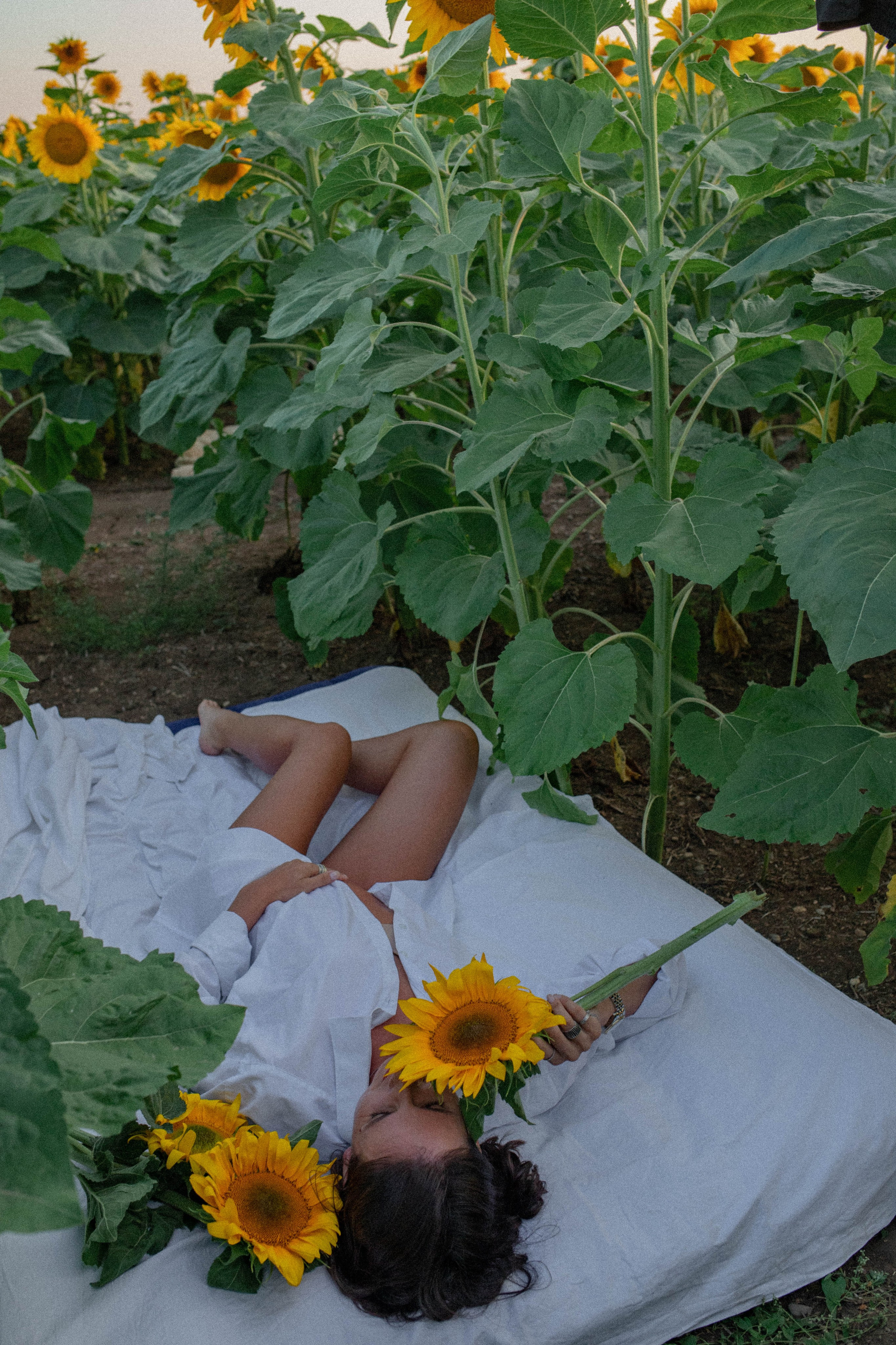 Татьяна. Фотограф Немазенко Ольга