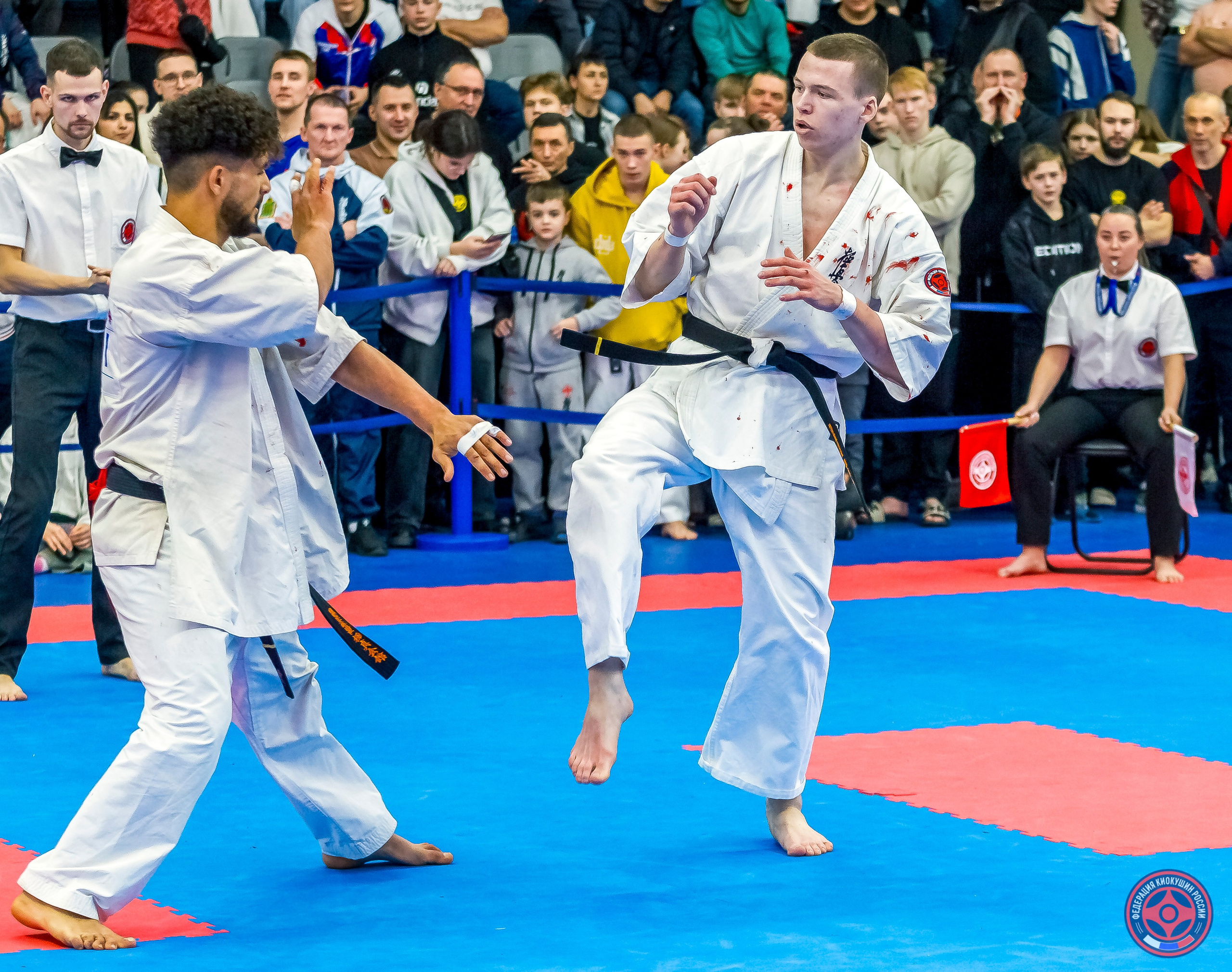 Международный турнир по киокушин «Открытый кубок Seiken». Репортажная съемка в Москве и области. Анималистика