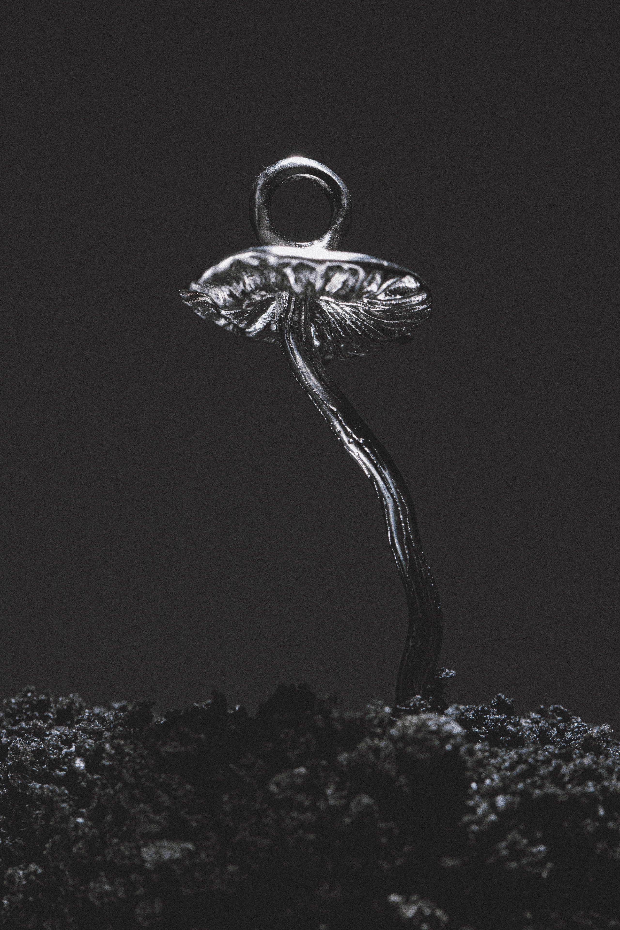 Съёмка ювелирных изделий. Предметный и ювелирный фотограф в Санкт-Петербурге