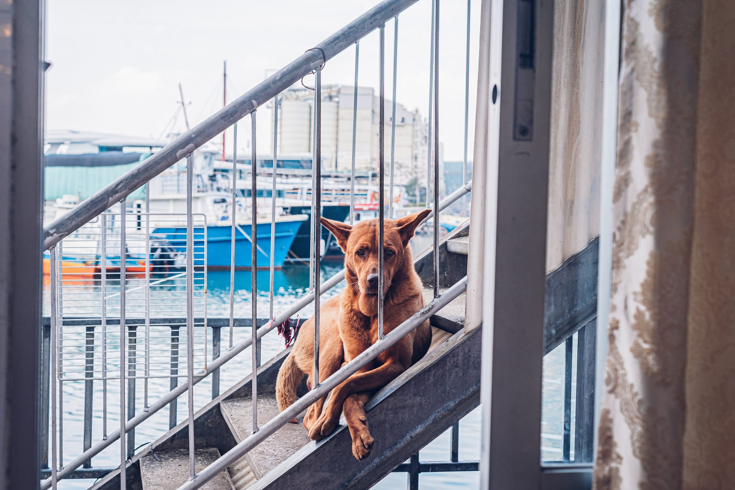 Путешествие рекламного фотографа из Гуанчжоу по Гонконгу 2 | Истории и вдохновение. Коммерческий и предметный фотограф в Гуанчжоу Коваленко Александр