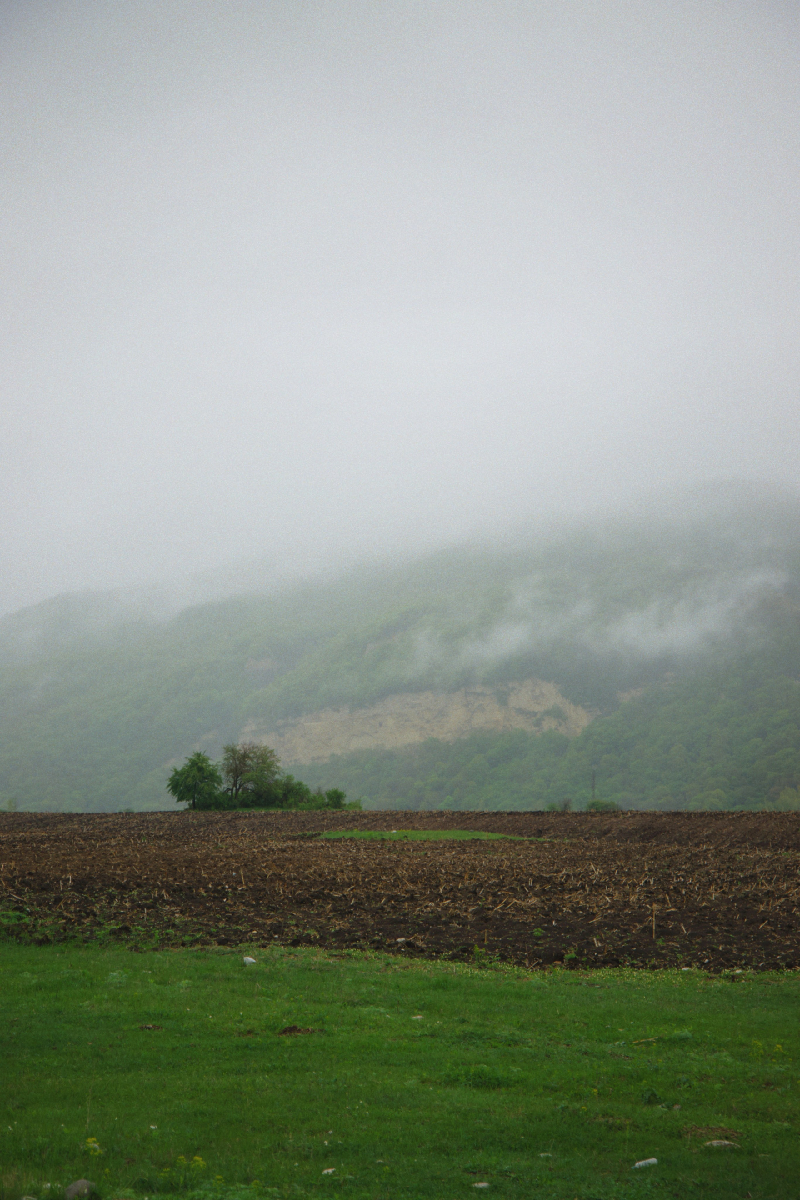 Vibes. Фотограф в Москве, портреты, мероприятия, бренды