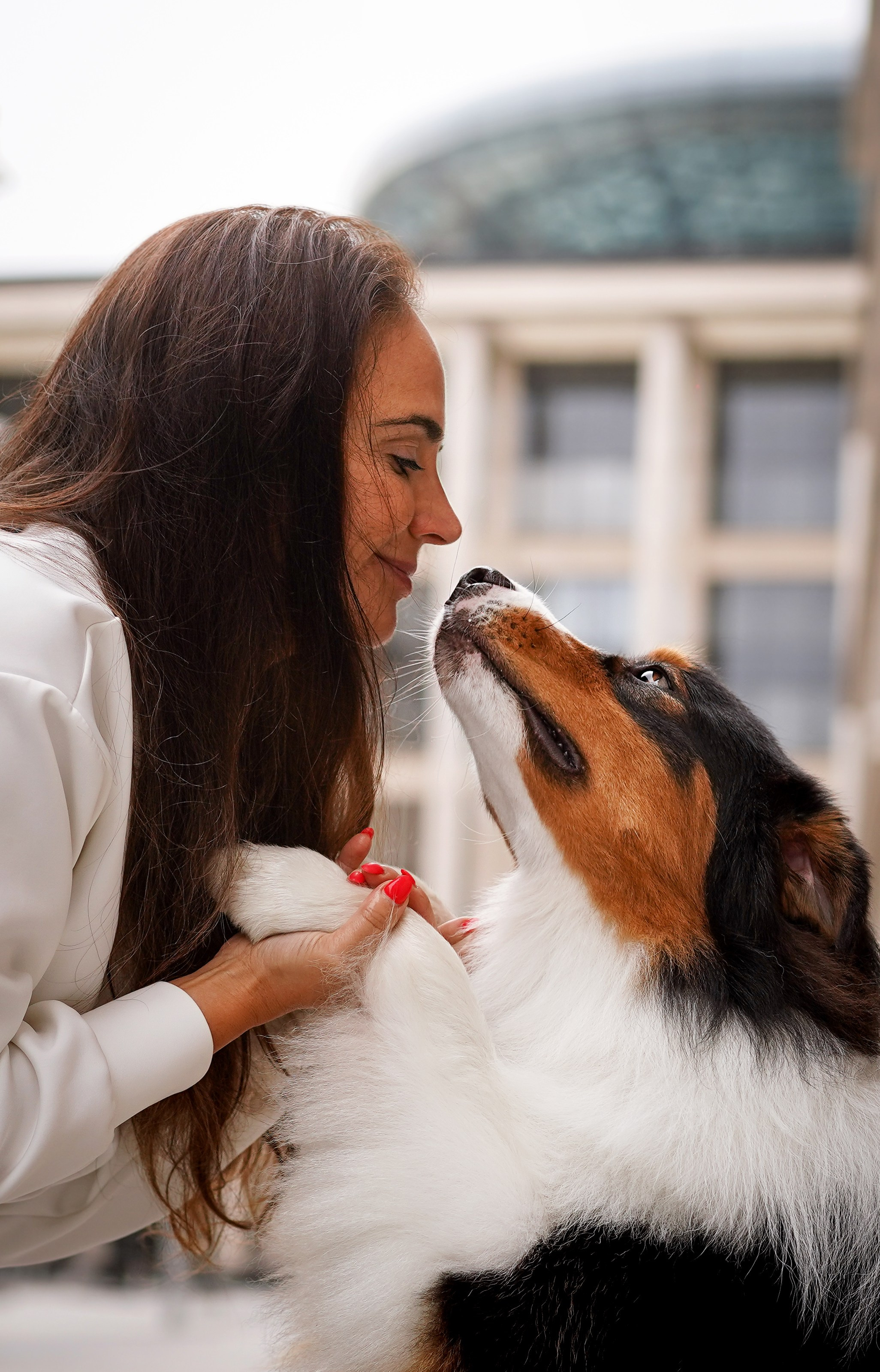 Кристина Катя Гермиона и Бэст. Фотограф-анималист в Санкт-Петербурге Яна Мартынова