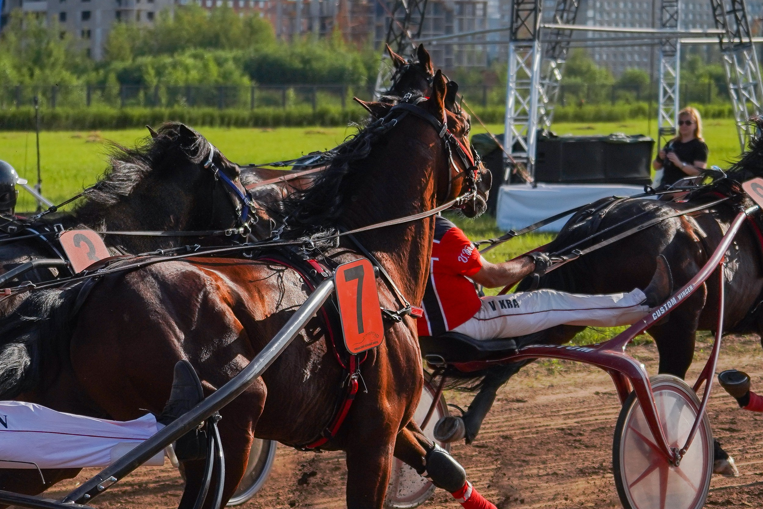 III конные бега на Кубок Главы Чувашии. Фотограф-анималист, портретный фотограф в Чебоксарах Мария Садыкова