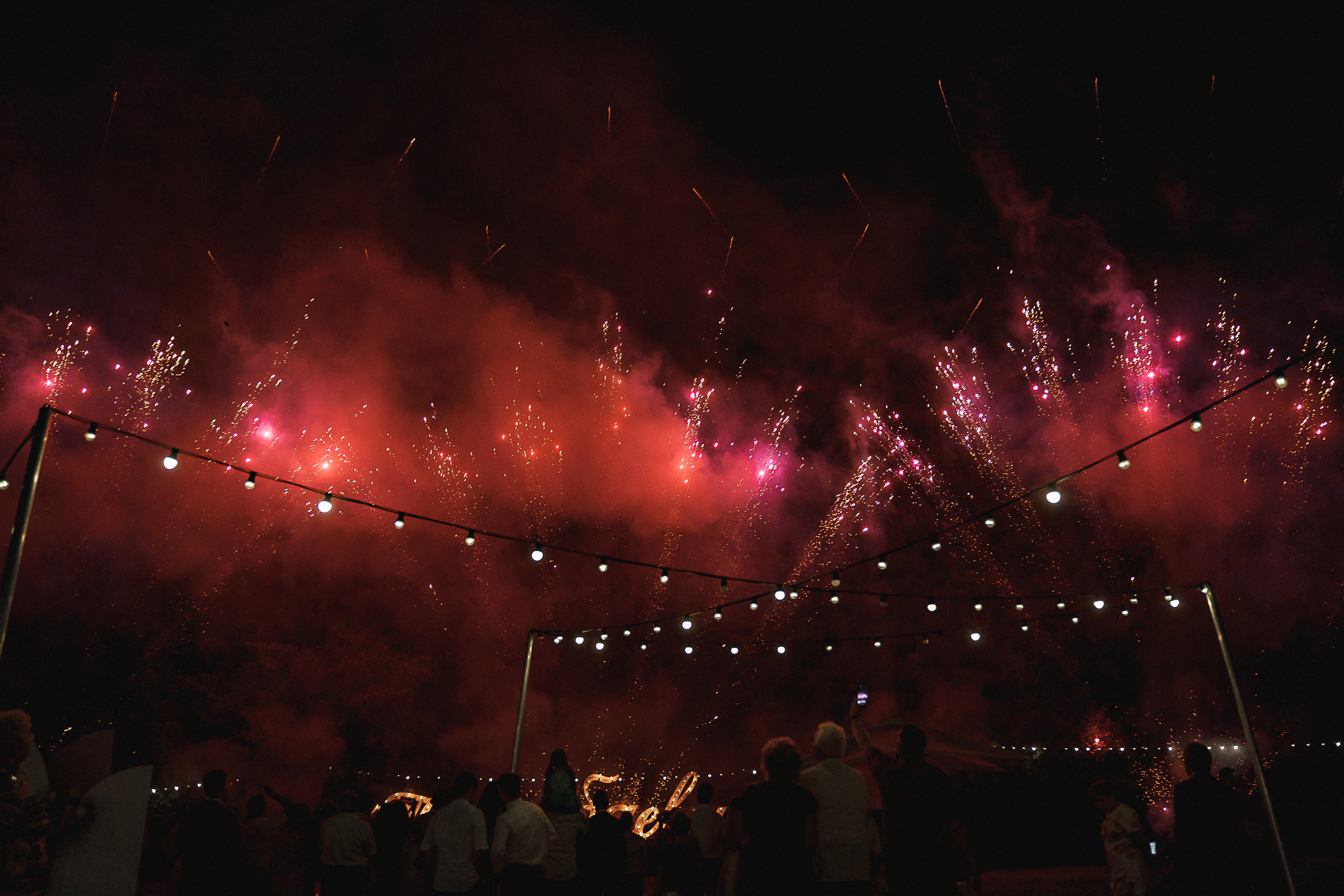 Крокодил на свадьбе?!. Свадебный фотограф Александр Осипов