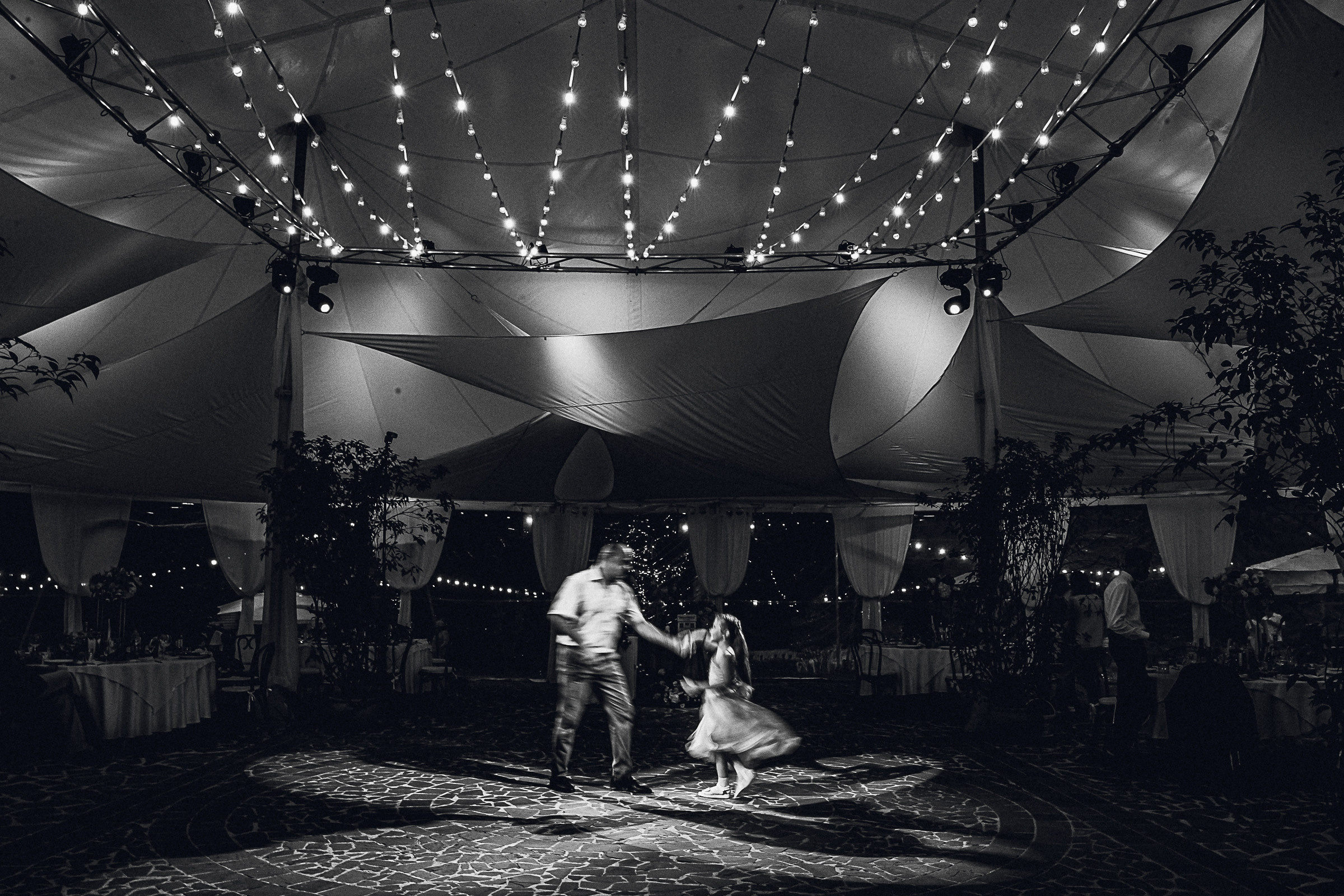 Крокодил на свадьбе?!. Свадебный фотограф Александр Осипов