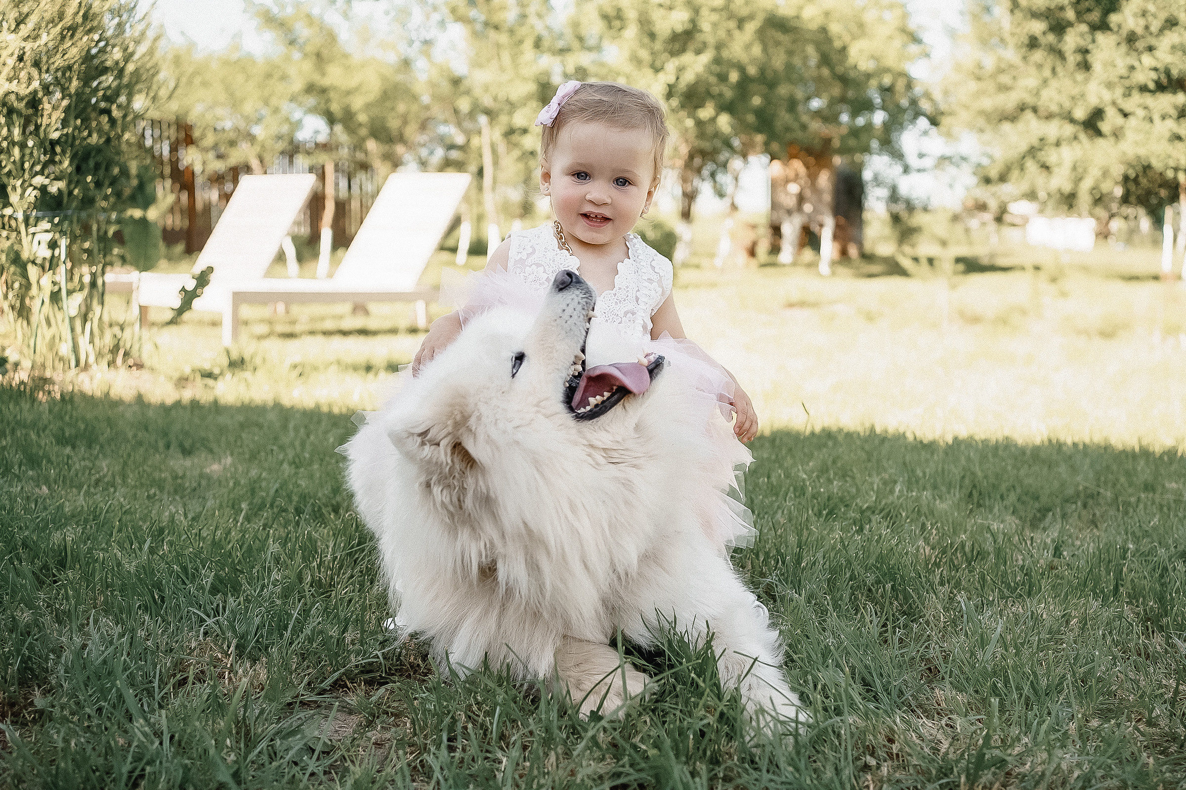 Анатолий и Ксения. Свадебный фотограф Александр Осипов
