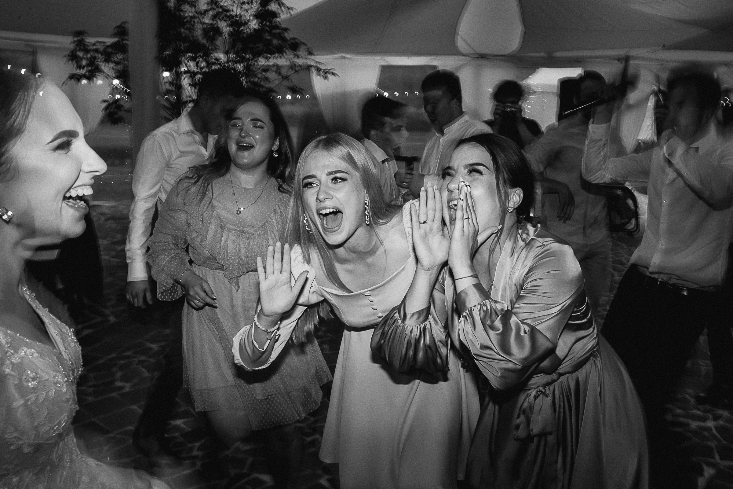 Крокодил на свадьбе?!. Свадебный фотограф Александр Осипов