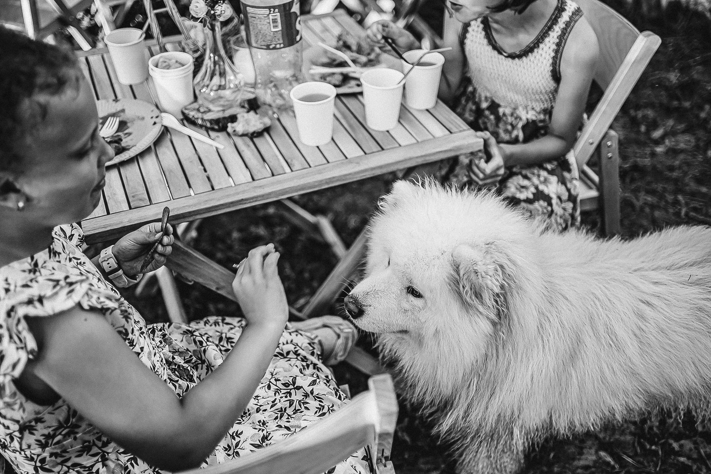 Анатолий и Ксения. Свадебный фотограф Александр Осипов