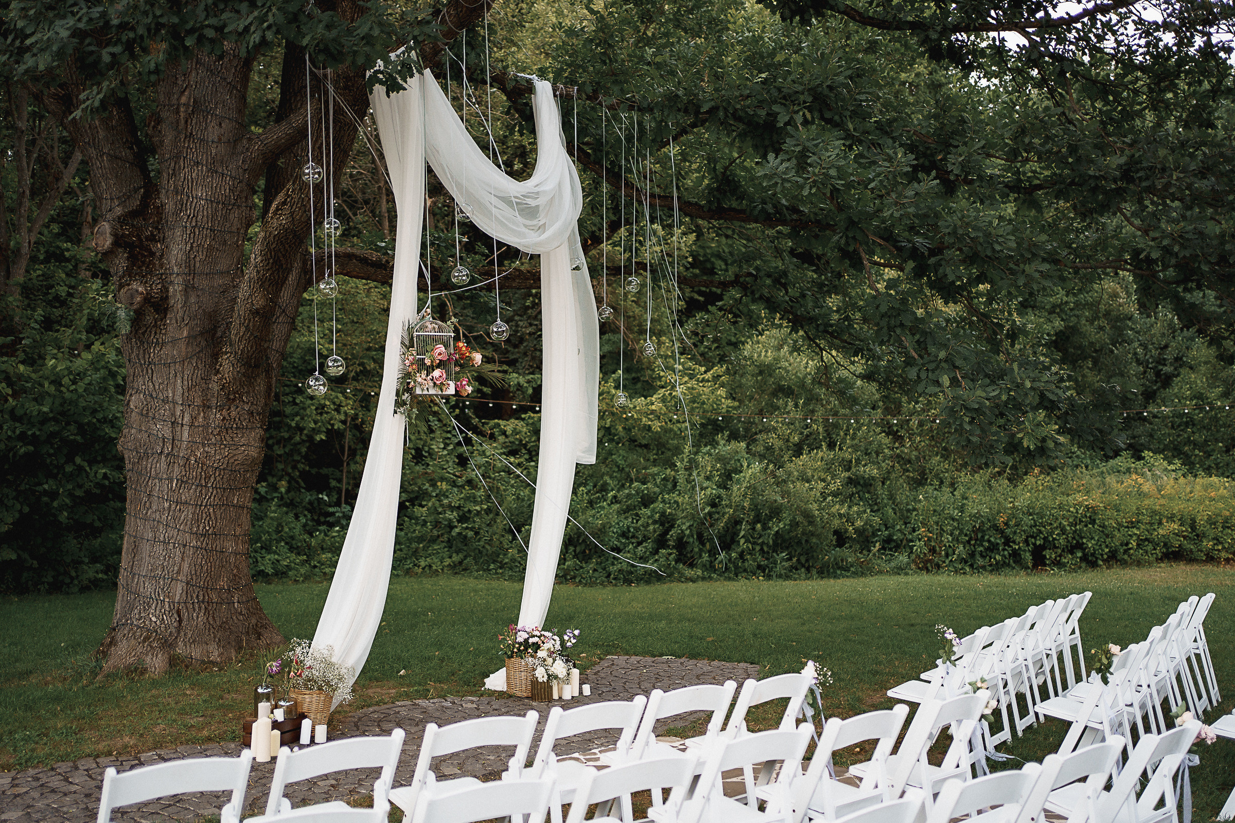 Крокодил на свадьбе?!. Свадебный фотограф Александр Осипов