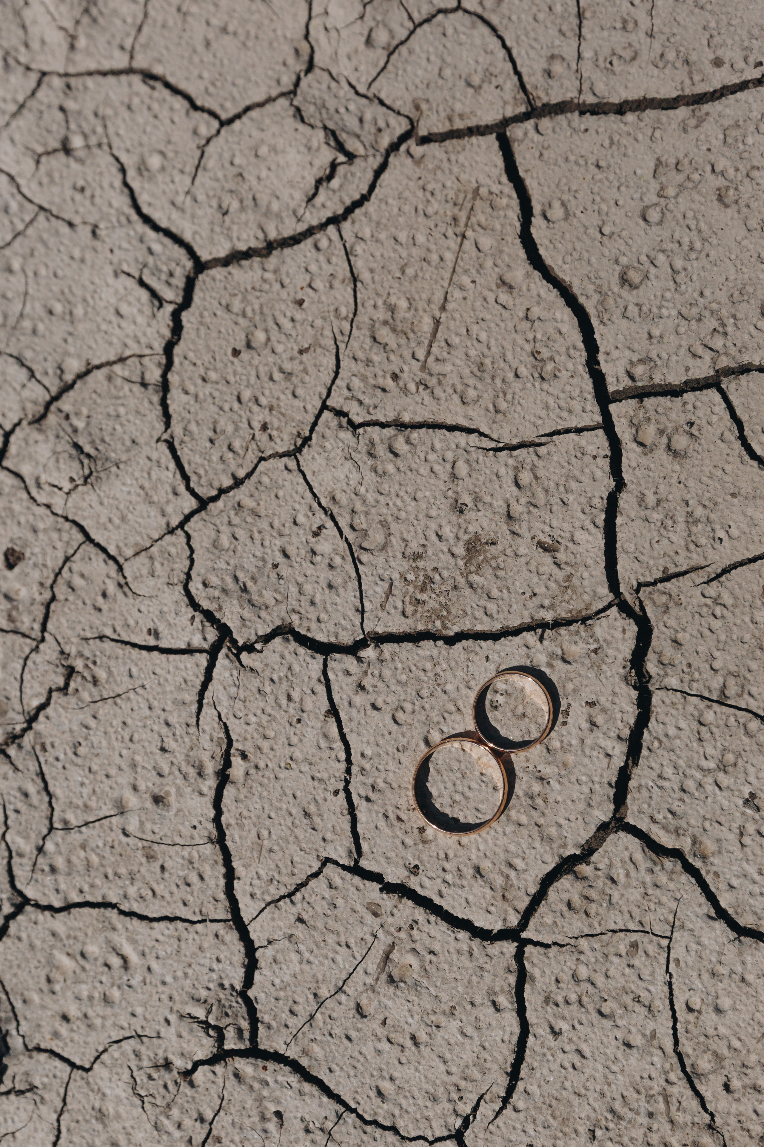 Фото и Видео съёмка полного свадебного дня весной в Жлобине. Свадебный семейный фотограф и видеограф Гомель Минск Беларусь Европа