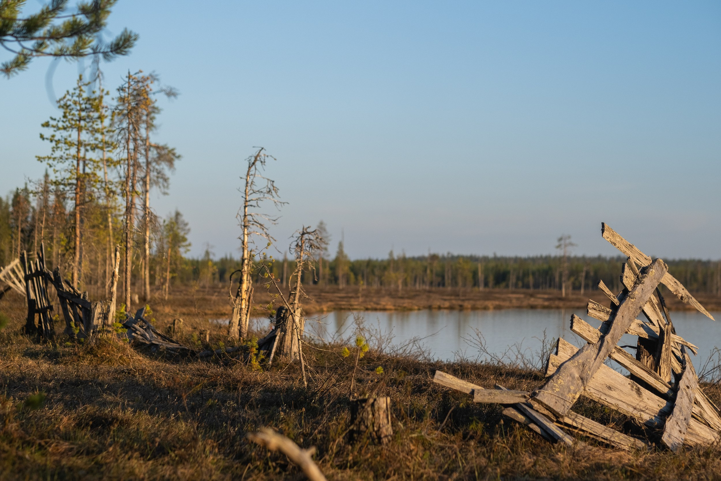 Северные дневники. Алиса Северная. Визуальные исследования. Пейзажная и документальная фотография