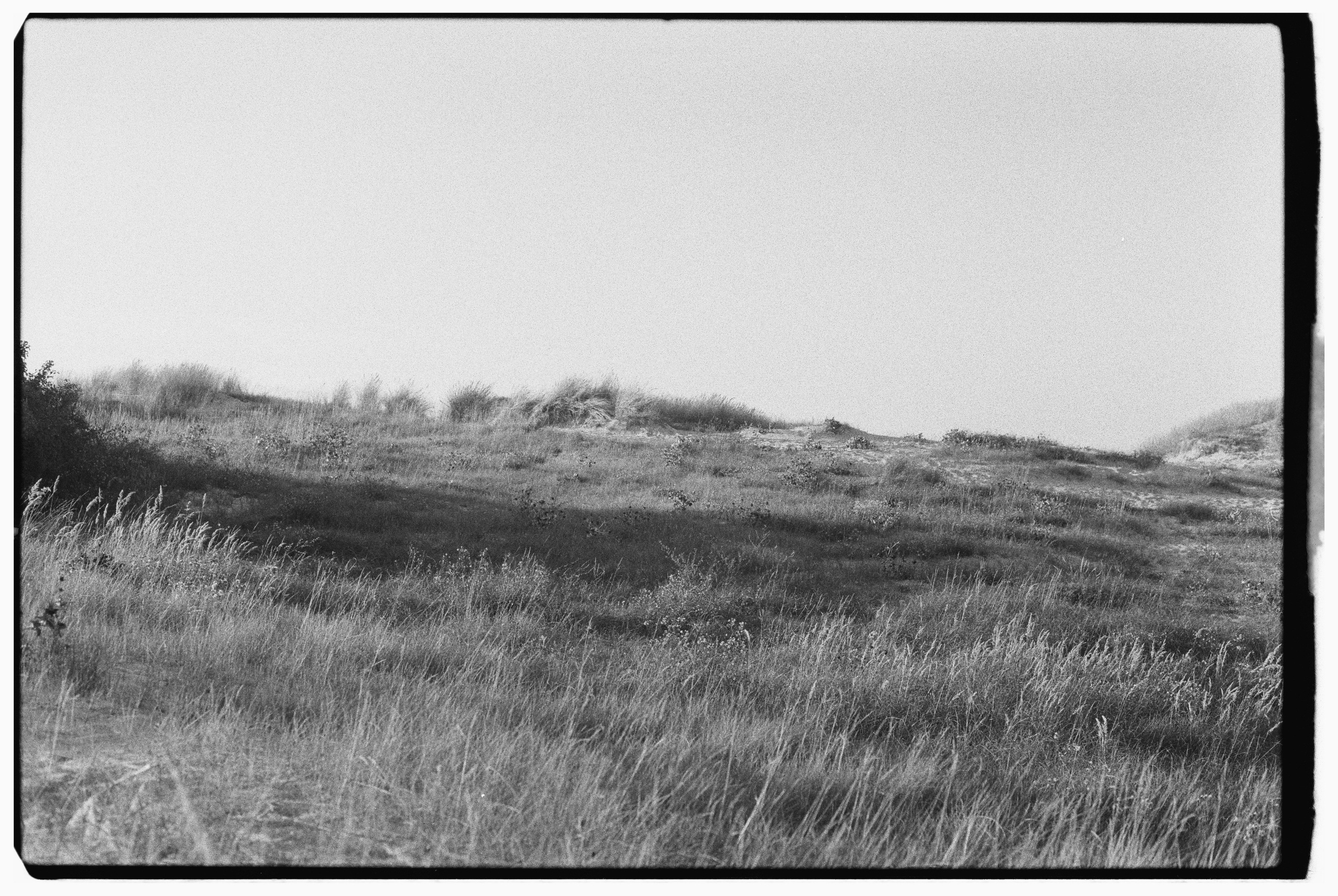 Калининград. Портретный фотограф Софья Хворостова