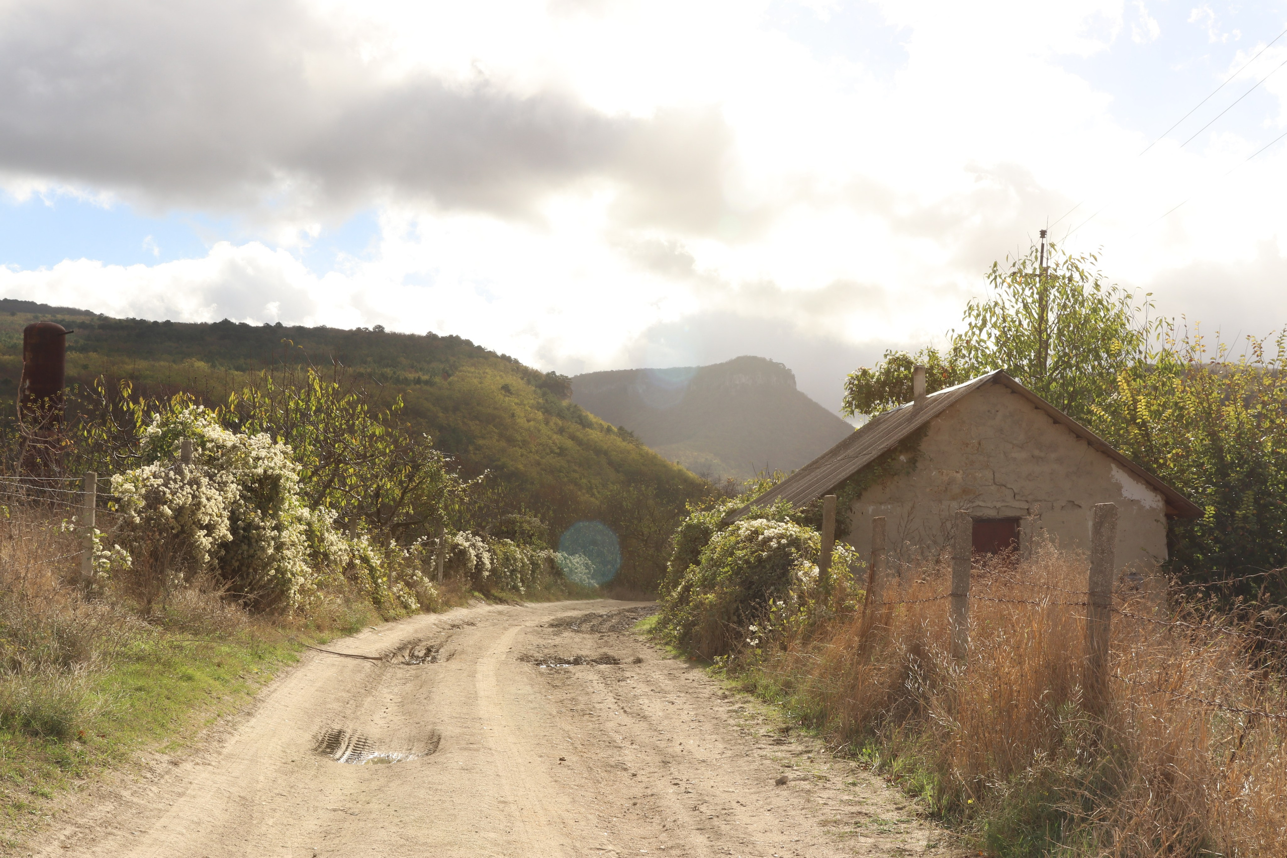Крым. ЮБК (Гурзуф, Судак и их окрестности). Ноябрь 2023. Путешественник-фотограф из Санкт-Петербурга Татьяна Свистулина