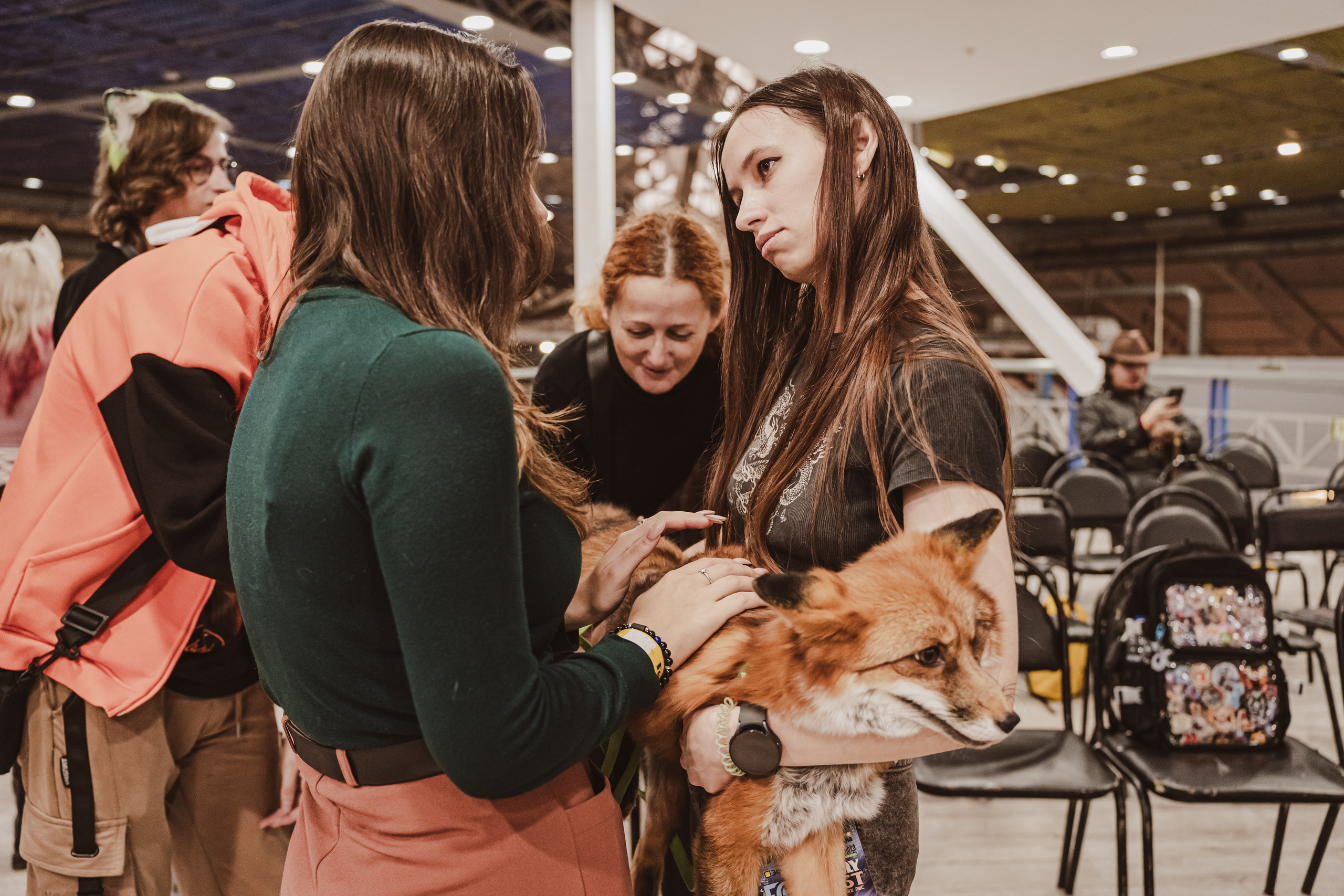 Fox Family fest. Репортажный фотограф Анастасия Рубцова