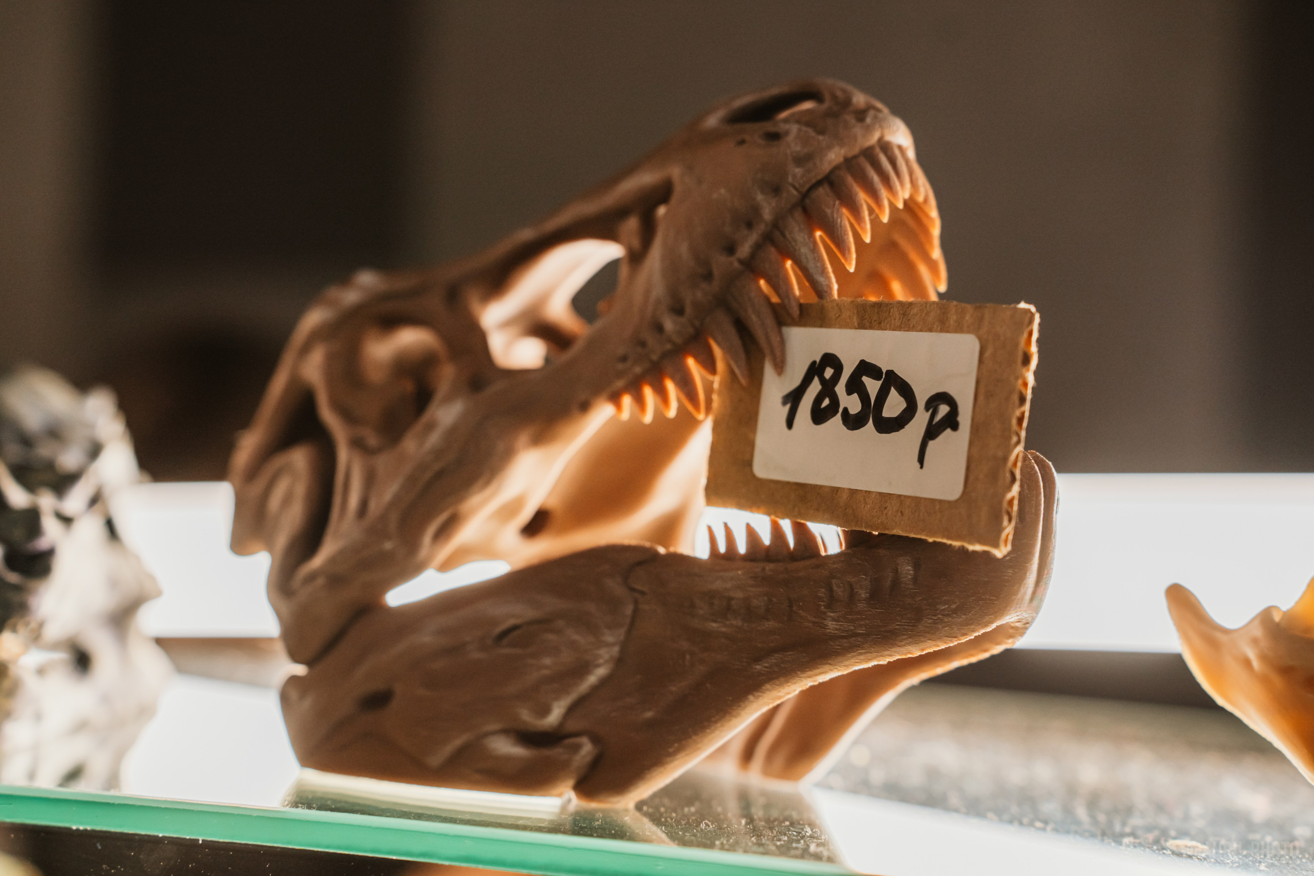 Рептилиум (ручная работа). Репортажный фотограф Анастасия Рубцова