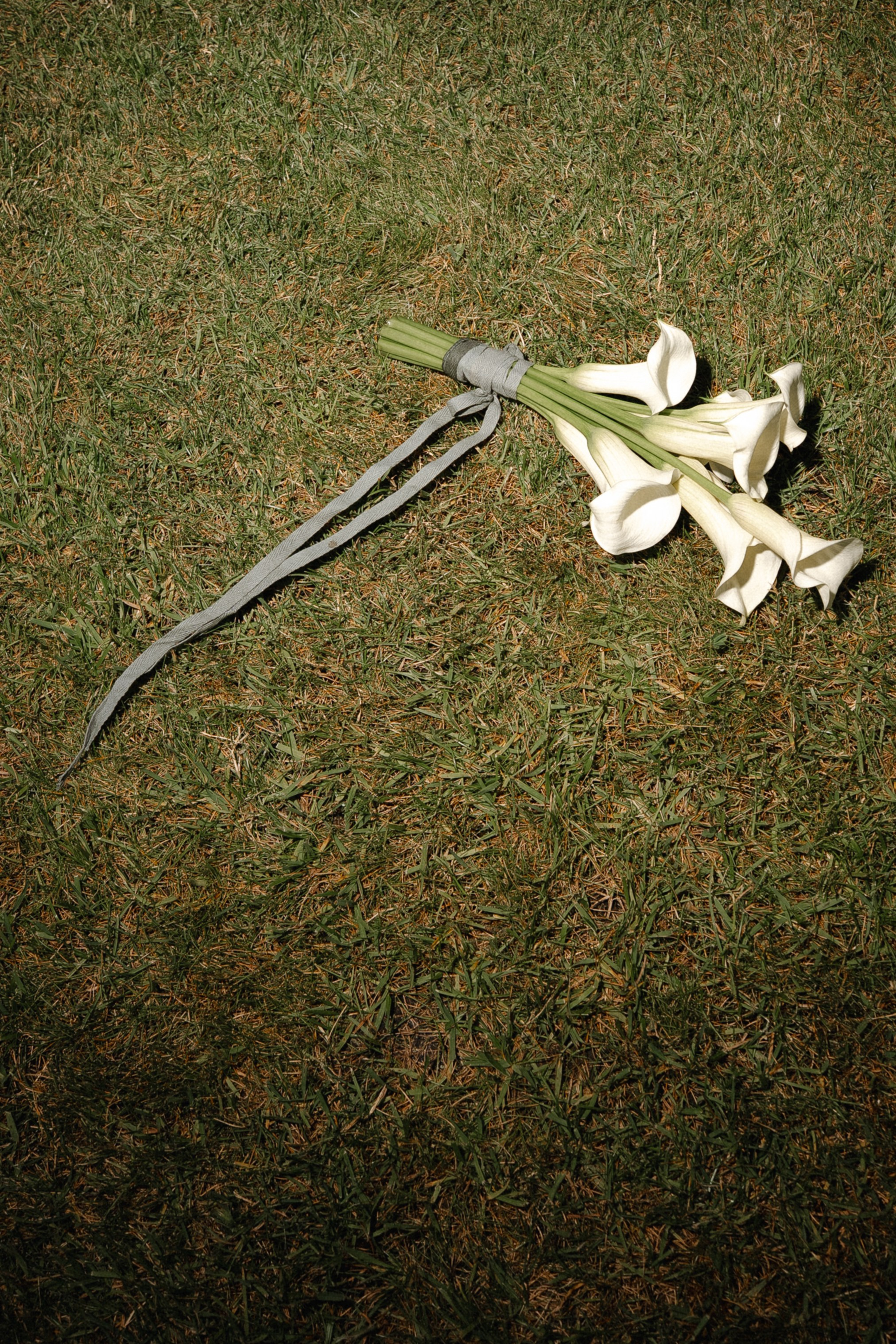 Katya+Kirill/ Anons. Семейный и портретный фотограф в Саратове Сахарова Маша