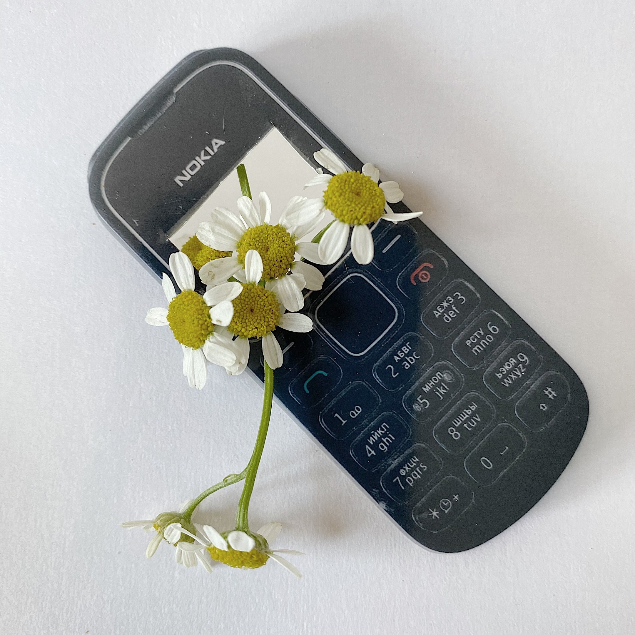 Эстетизация повседневности. Маша Иванова —