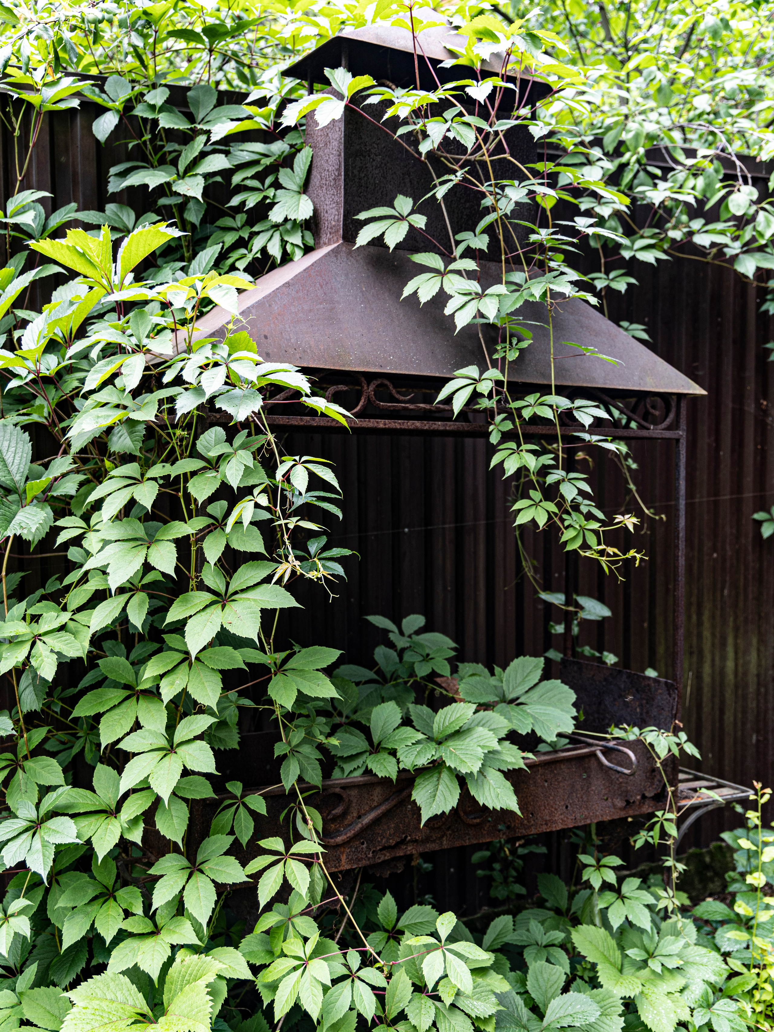 Фотограф Татьяна Марсуверских г. Жуковский, Москва и Мо. Репортажные съёмки, фотосессии. Детский, семейный фотограф. Фотограф для маркетплейсов, фотоуслуги в Жуковском Татьяна Марсуверских