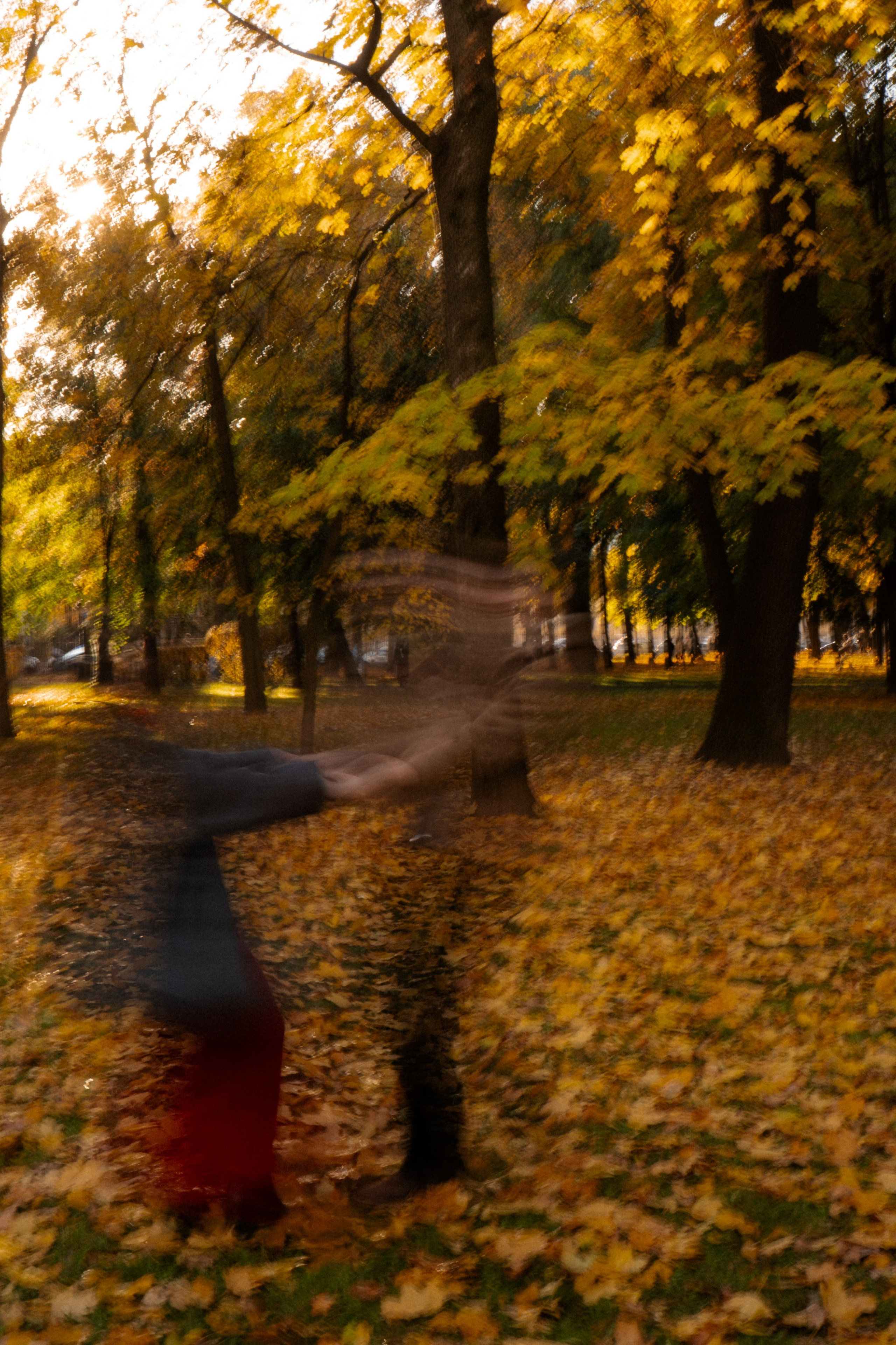 ОСЕННЯЯ ПРОГУЛКА. Профессиональный фотограф, Санкт-Петербург — Виктория Богомолова