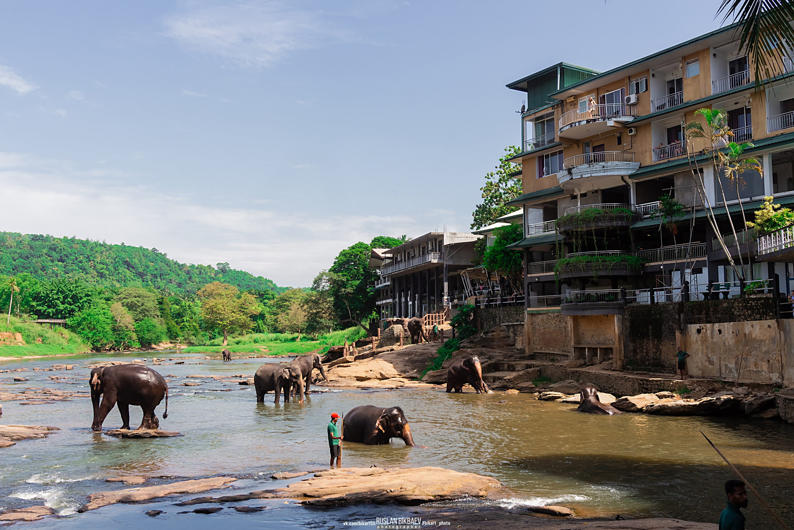 ШРИ-ЛАНКА 2025 / SRI LANKA 2025. Главная
