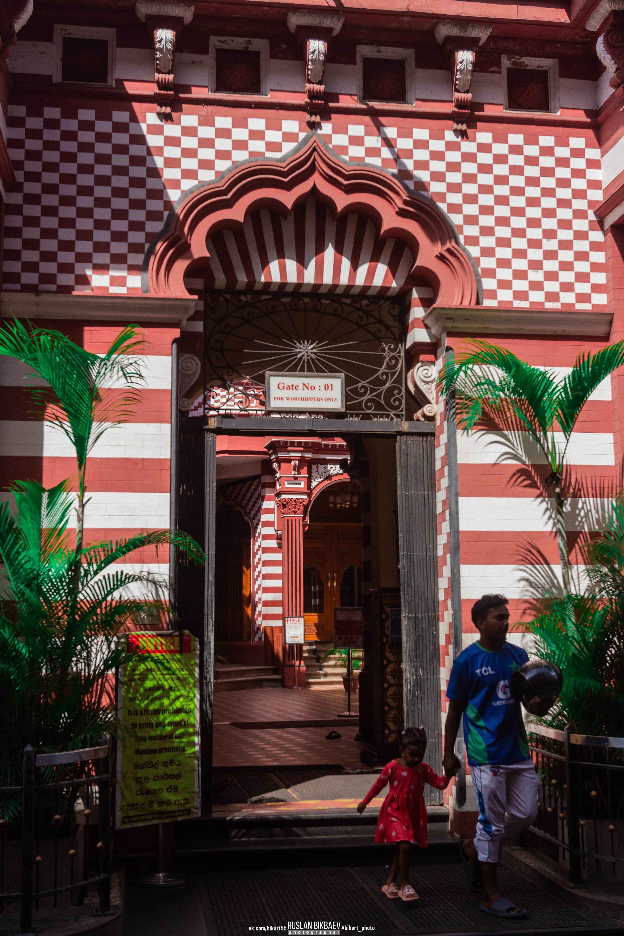 ШРИ-ЛАНКА 2025 / SRI LANKA 2025. Главная