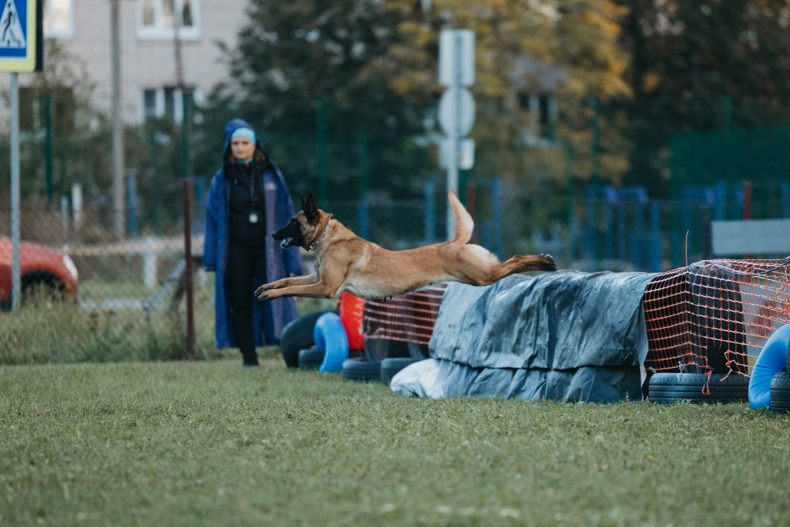 Испытания по мондьорингу г. Пушкин 29.09.2024. Фотограф-анималист Анна Маринич