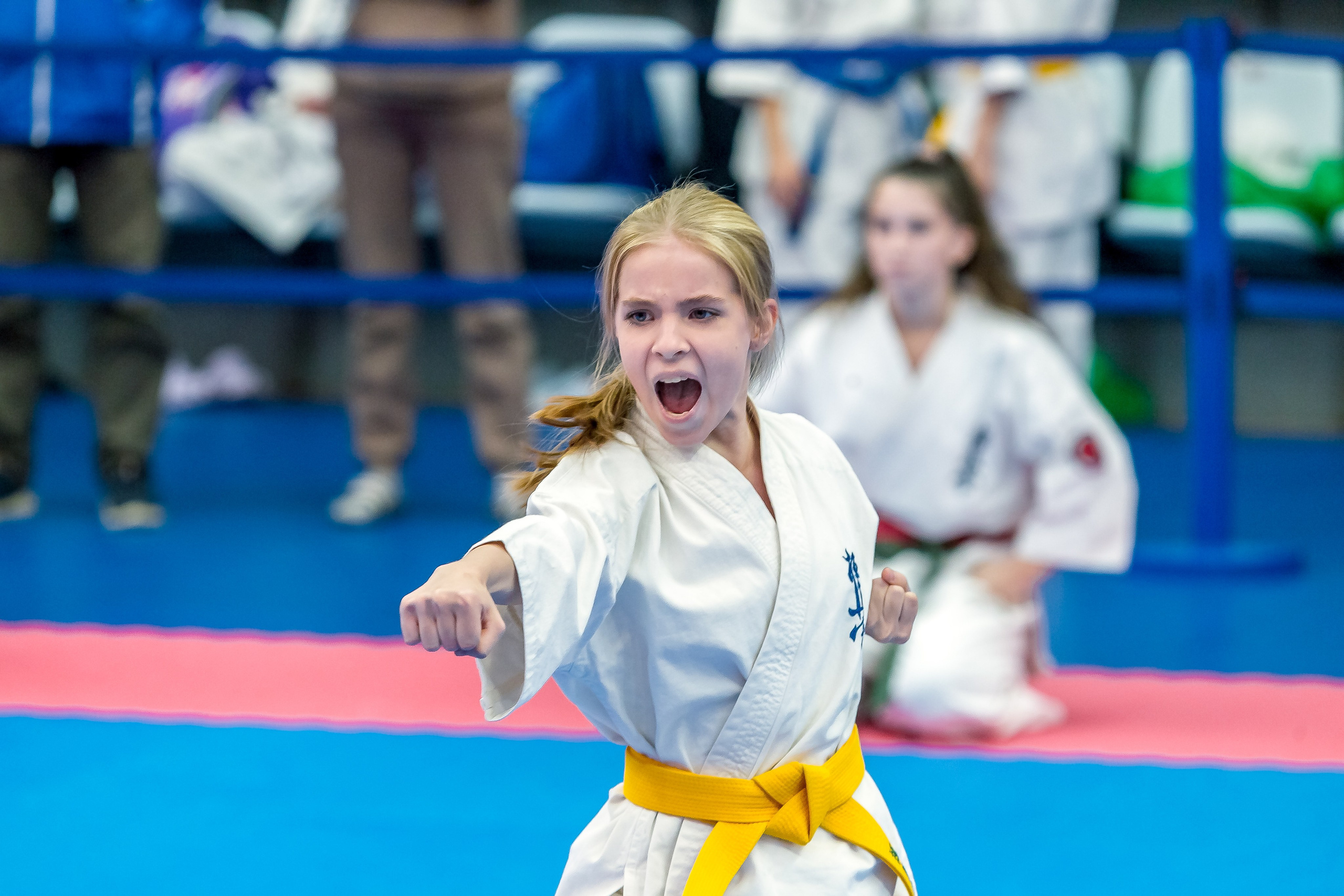 Соревнования по Киокушин памяти С. Увицкого. Репортажная съемка в Москве и области. Анималистика