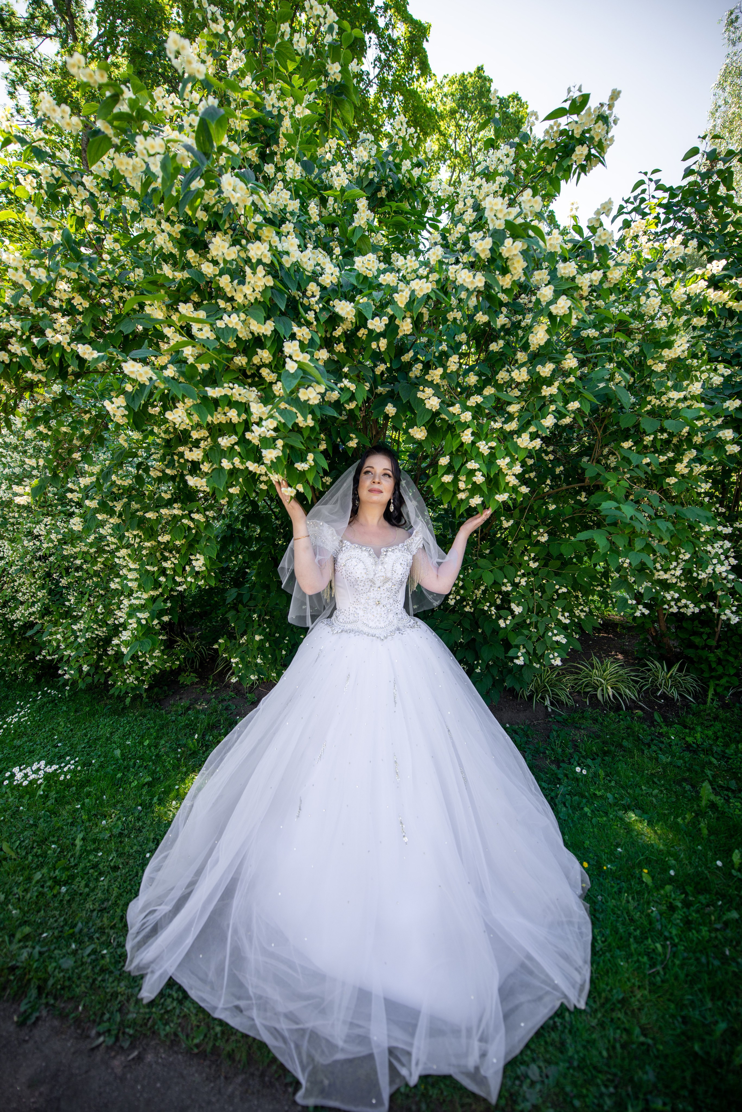 Фотосессия в Пушкине в Александровском, Екатерининском парке и Летнем саду. Портретный, семейный и свадебный фотограф в Санкт-Петербурге и в Пушкине Ширяев Денис