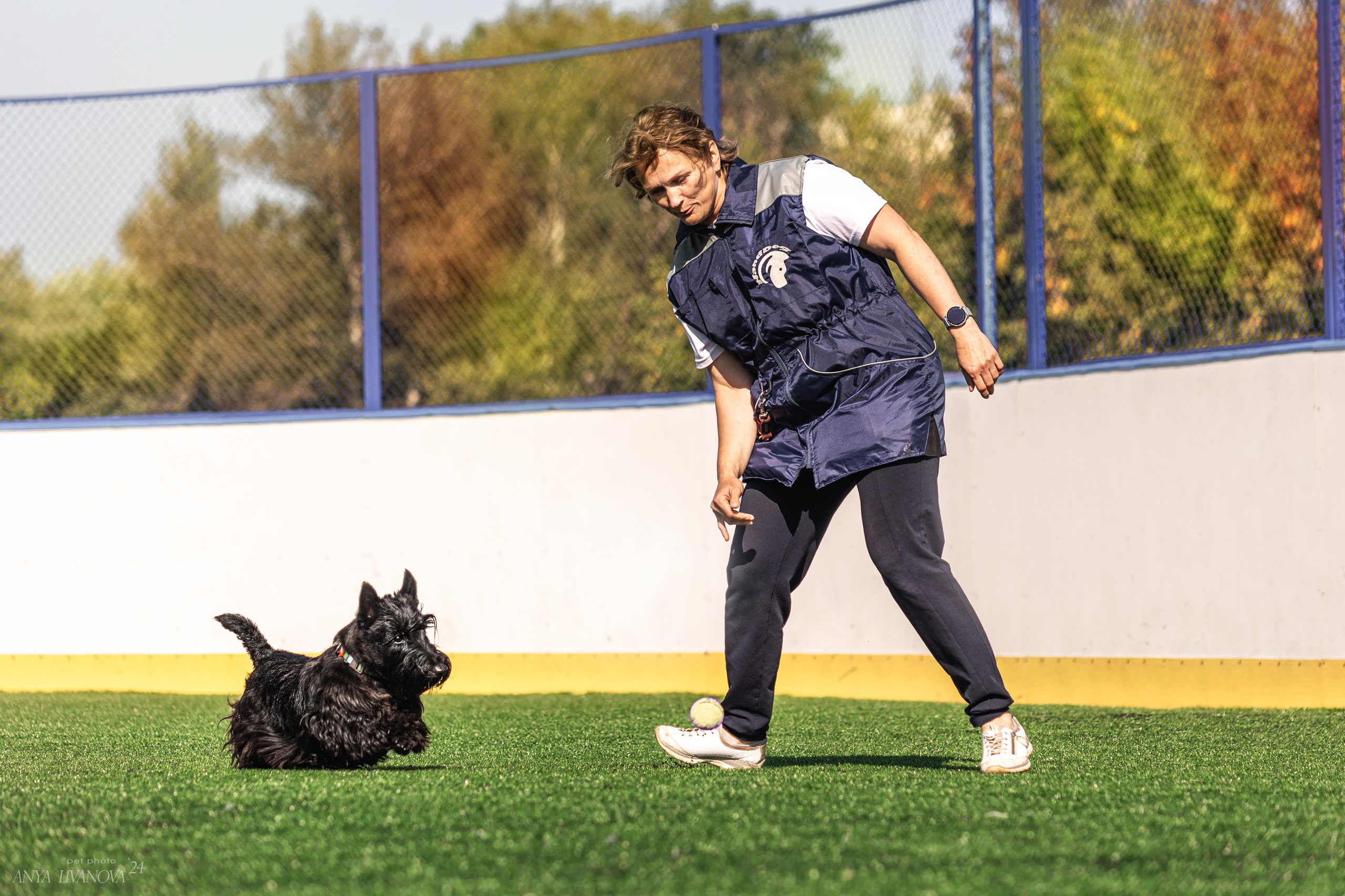 Ралли обидиенс. Фотограф анималист Аня Ливанова | Рыбинск