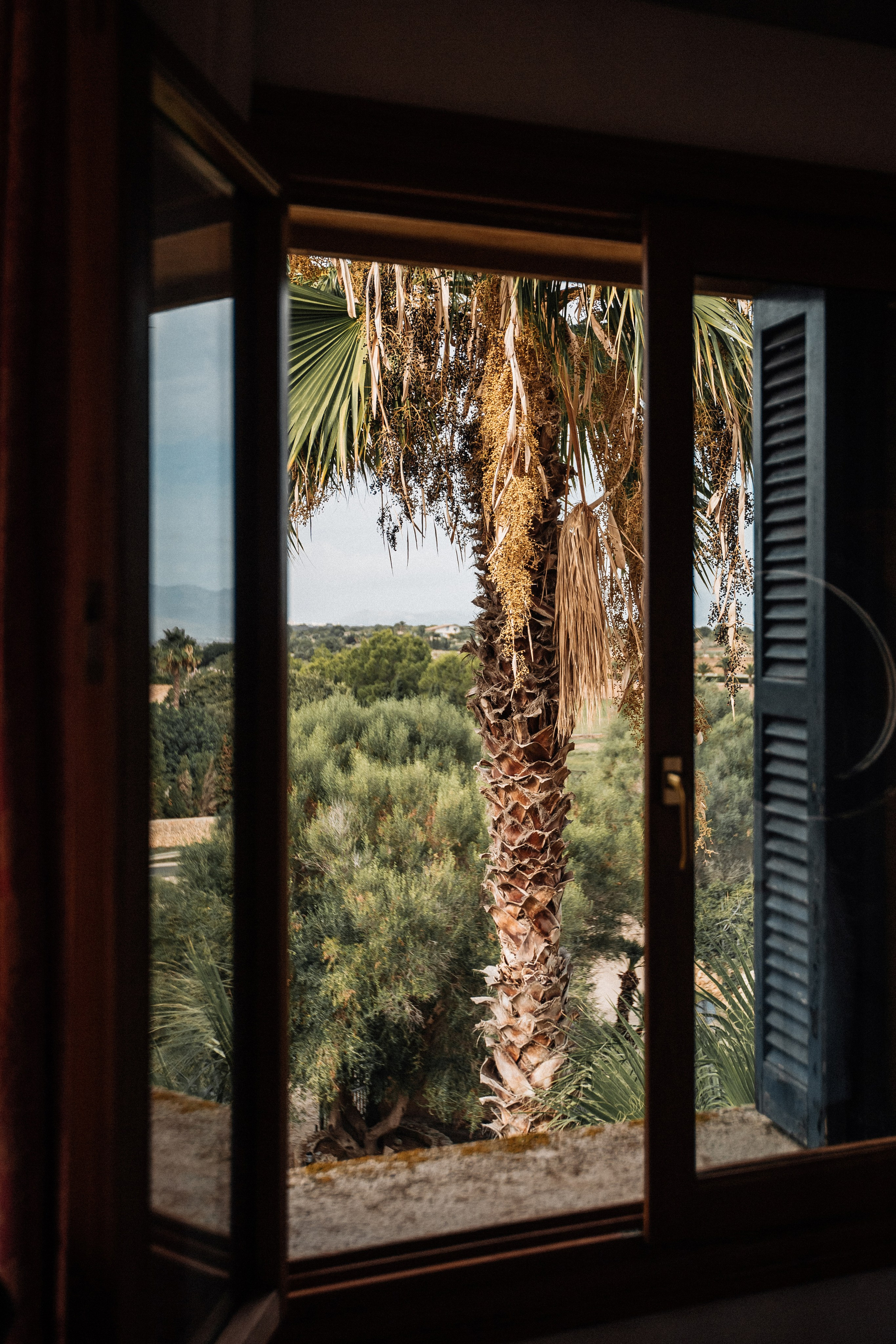 Vaida_&_Tadas. Фотограф на Майорке Екатерина Дробышева