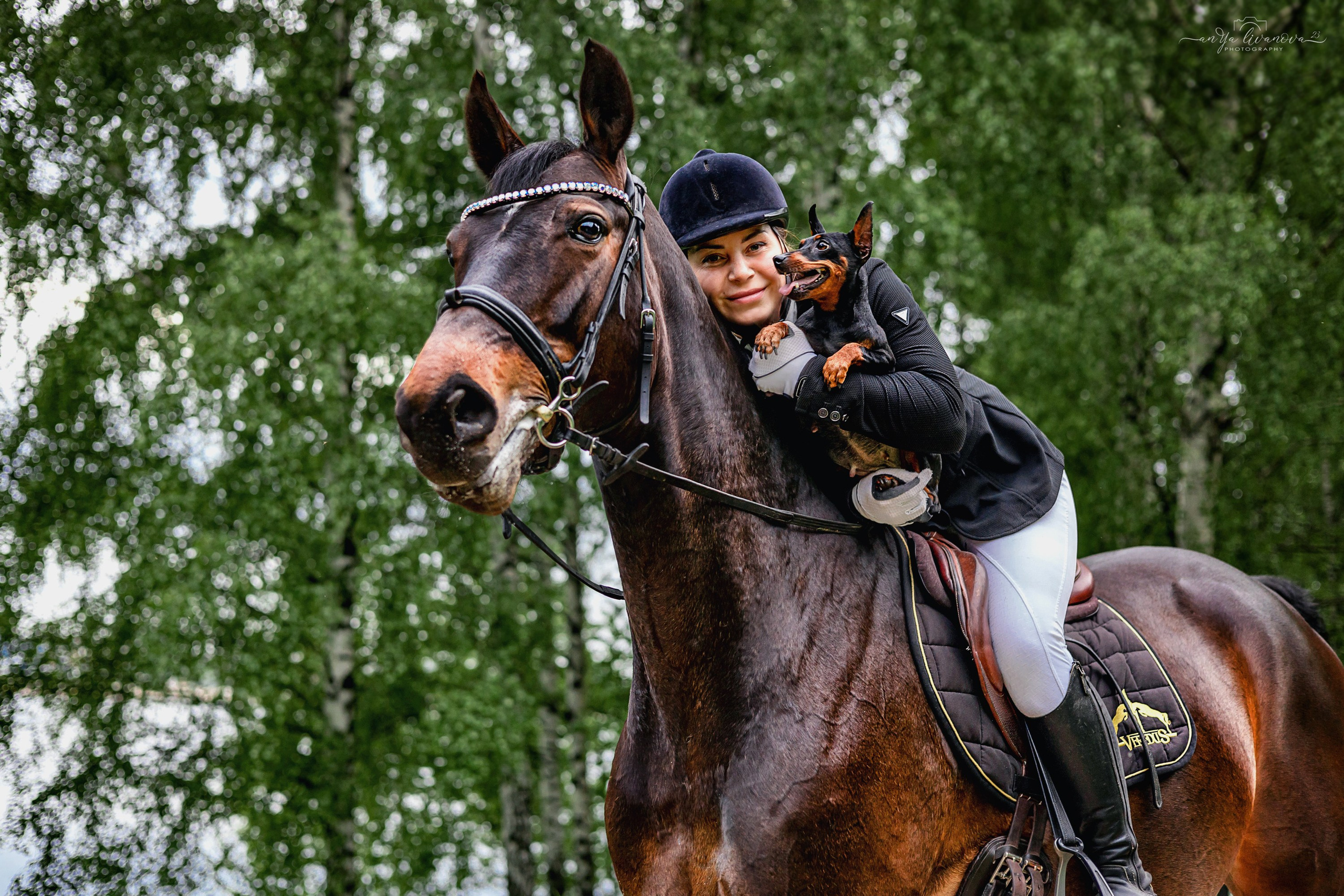 Конное…. Фотограф анималист Аня Ливанова | Рыбинск