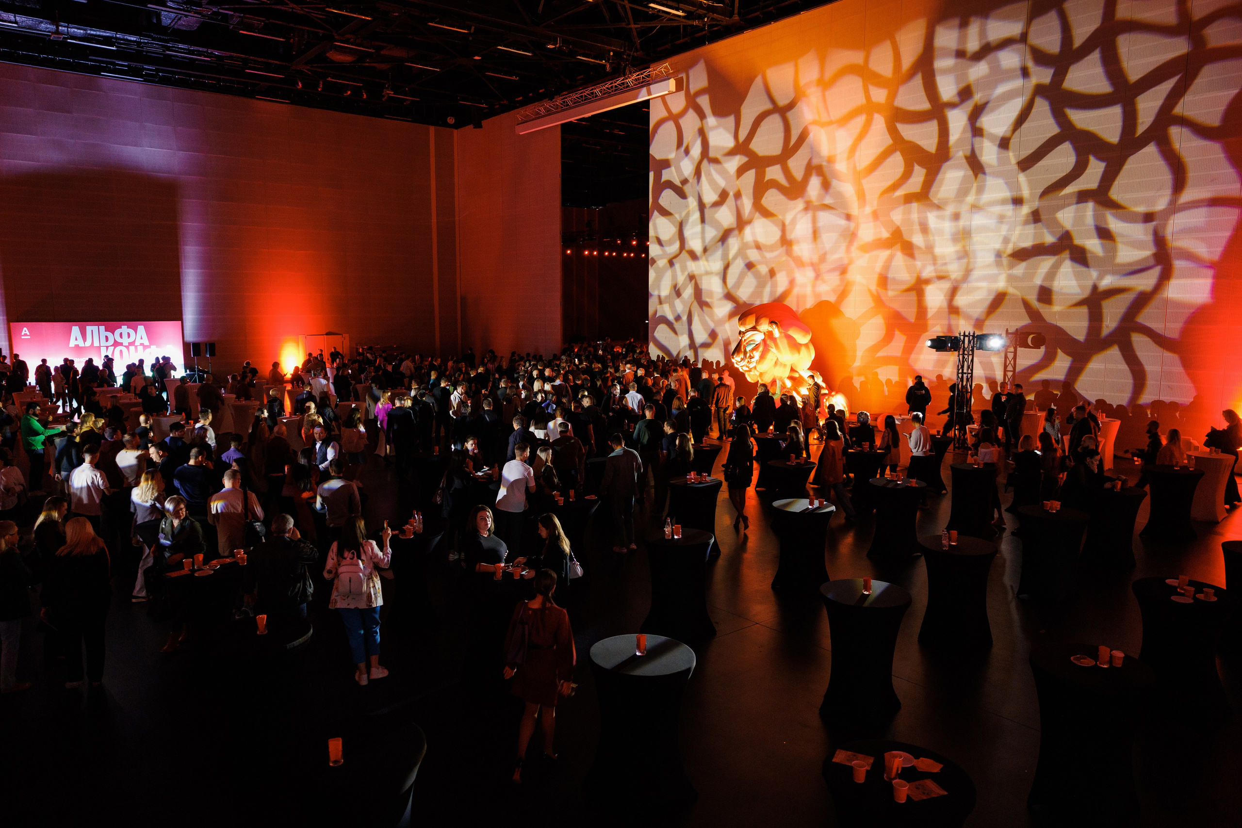 Альфа Конфа. Фотограф Ставрополь Петр Голубенко