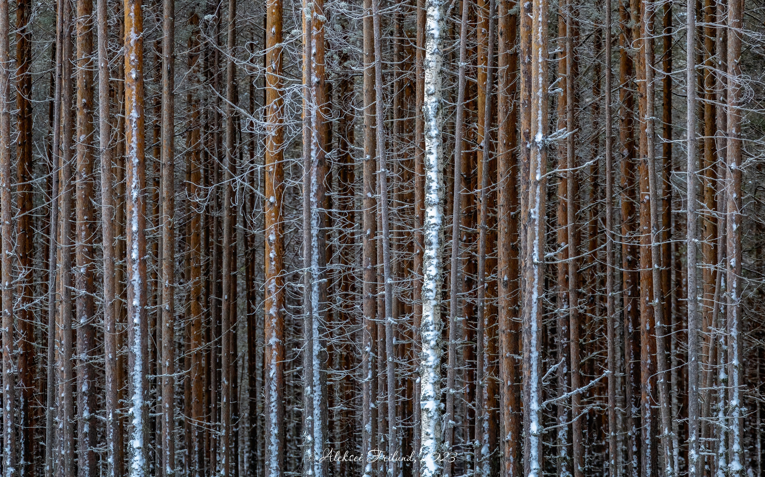 Природа Карелии. Аэросъемка. Фото и Видео в Карелии. Алексей Фрилунд