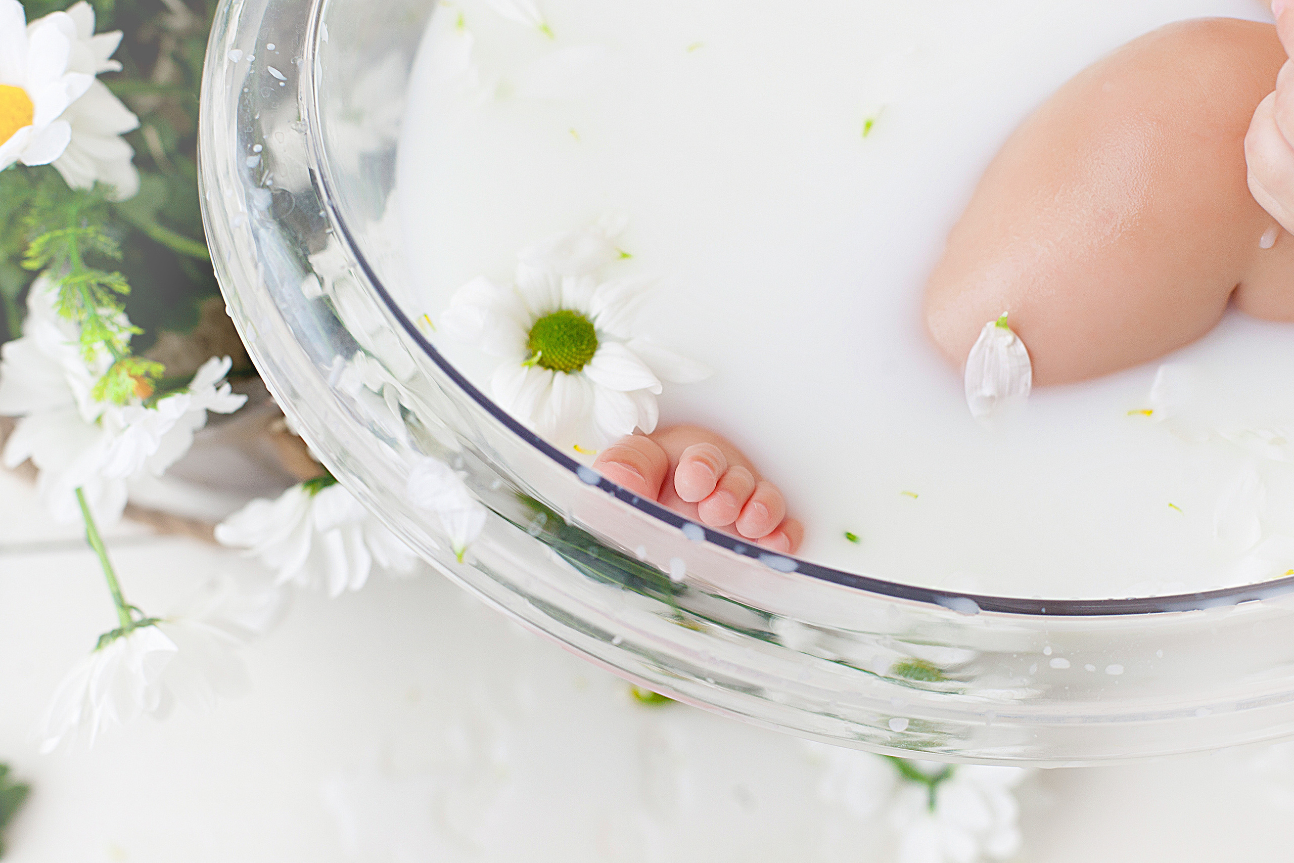 Детская фотосессия детей до 7 лет. Фотограф новорожденных и детей до года в Новосибирске Ka