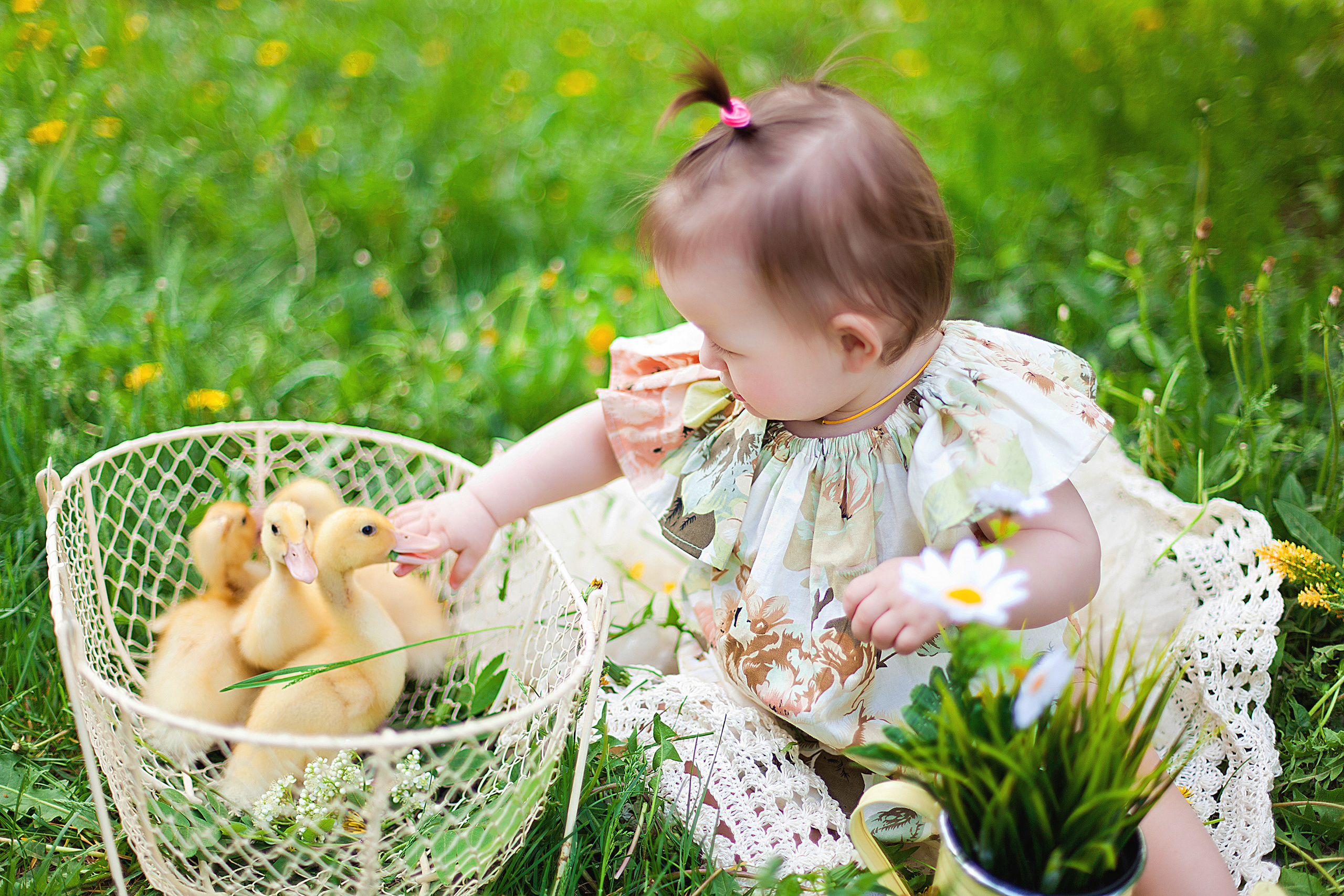 Детская фотосессия детей до 7 лет. Фотограф новорожденных и детей до года в Новосибирске Ka