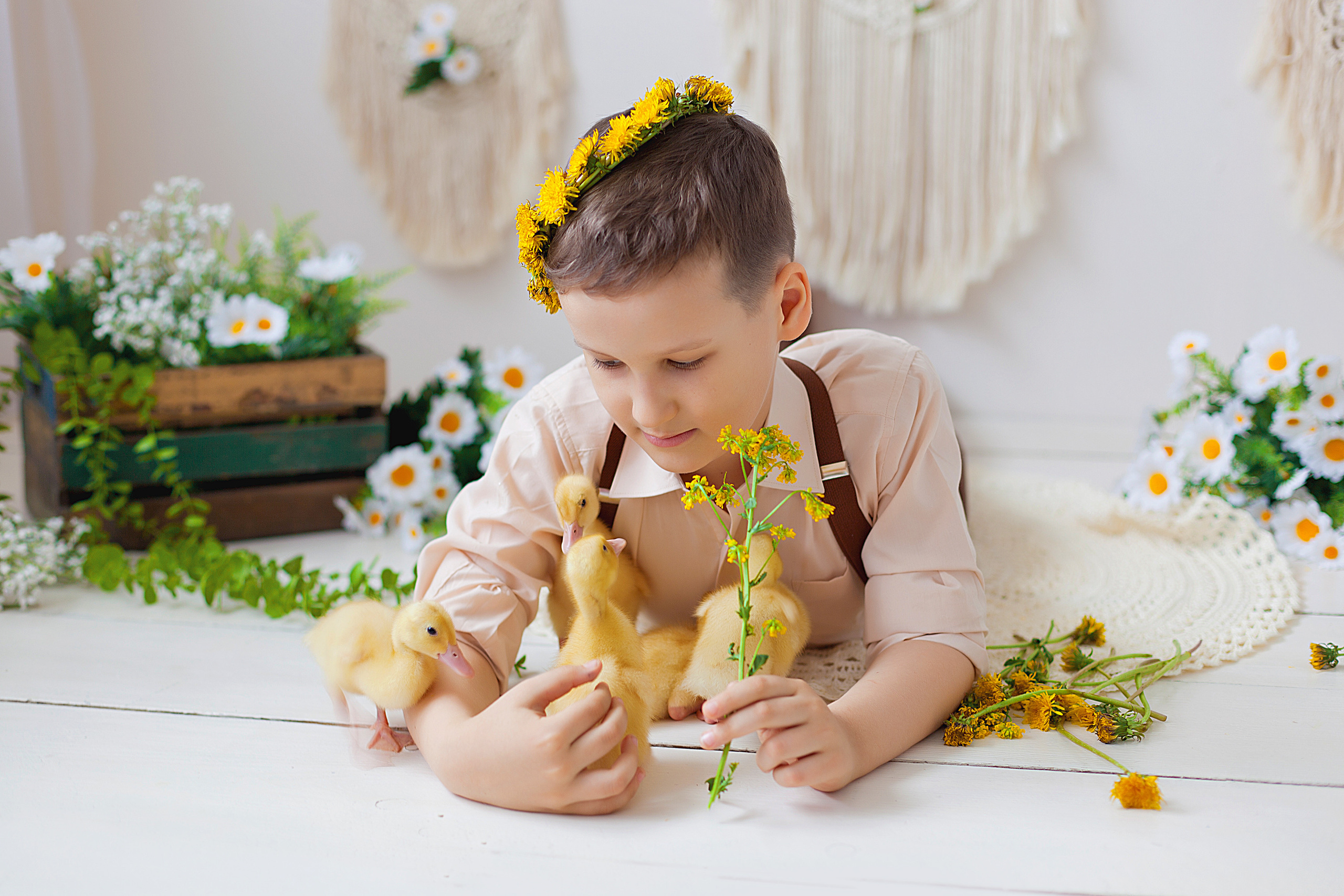 Детская фотосессия детей до 7 лет. Фотограф новорожденных и детей до года в Новосибирске Ka
