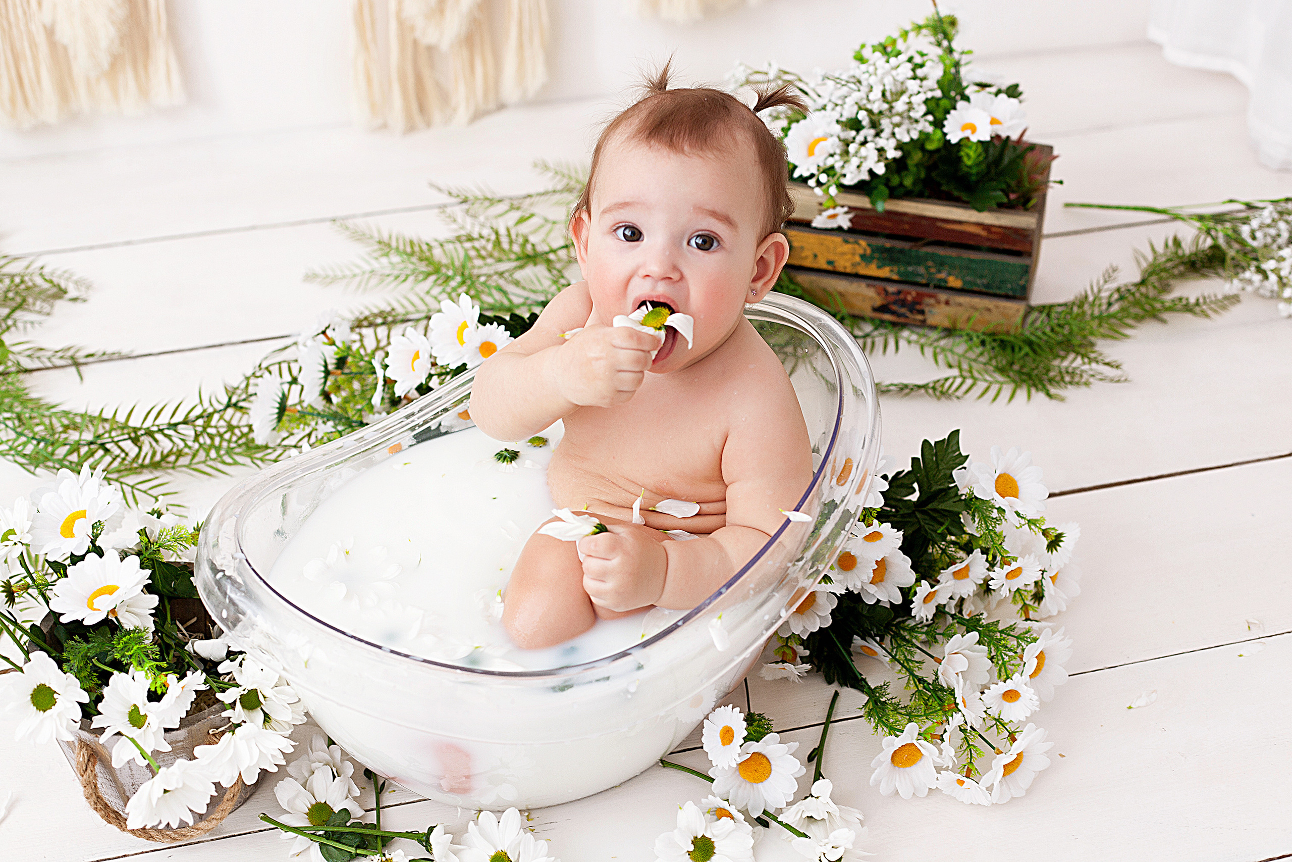 Детская фотосессия детей до 7 лет. Фотограф новорожденных и детей до года в Новосибирске Ka