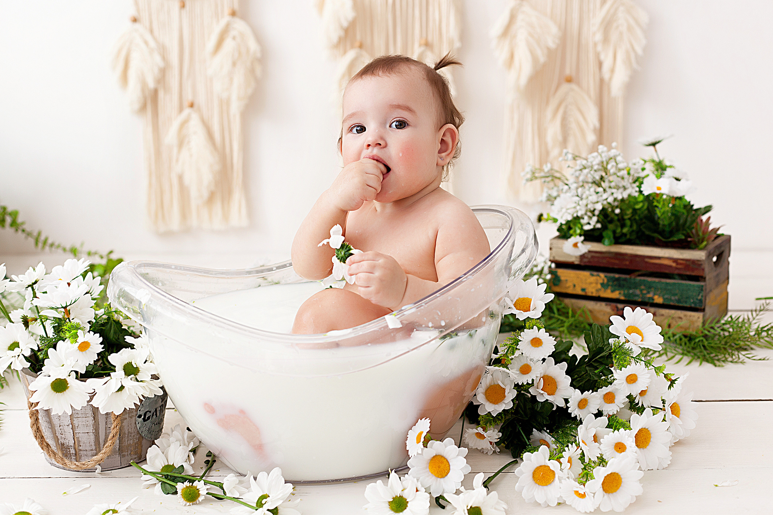 Детская фотосессия детей до 7 лет. Фотограф новорожденных и детей до года в Новосибирске Ka