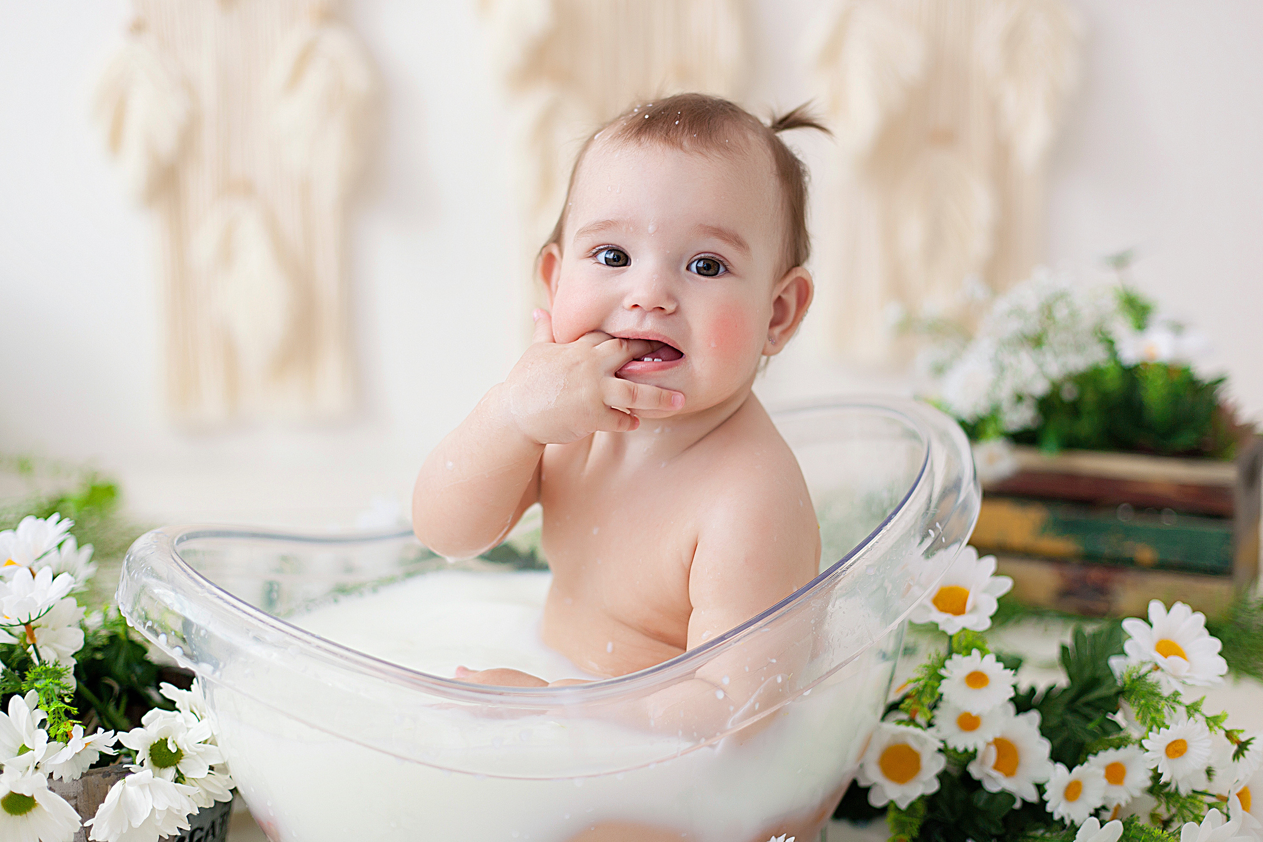 Детская фотосессия детей до 7 лет. Фотограф новорожденных и детей до года в Новосибирске Ka