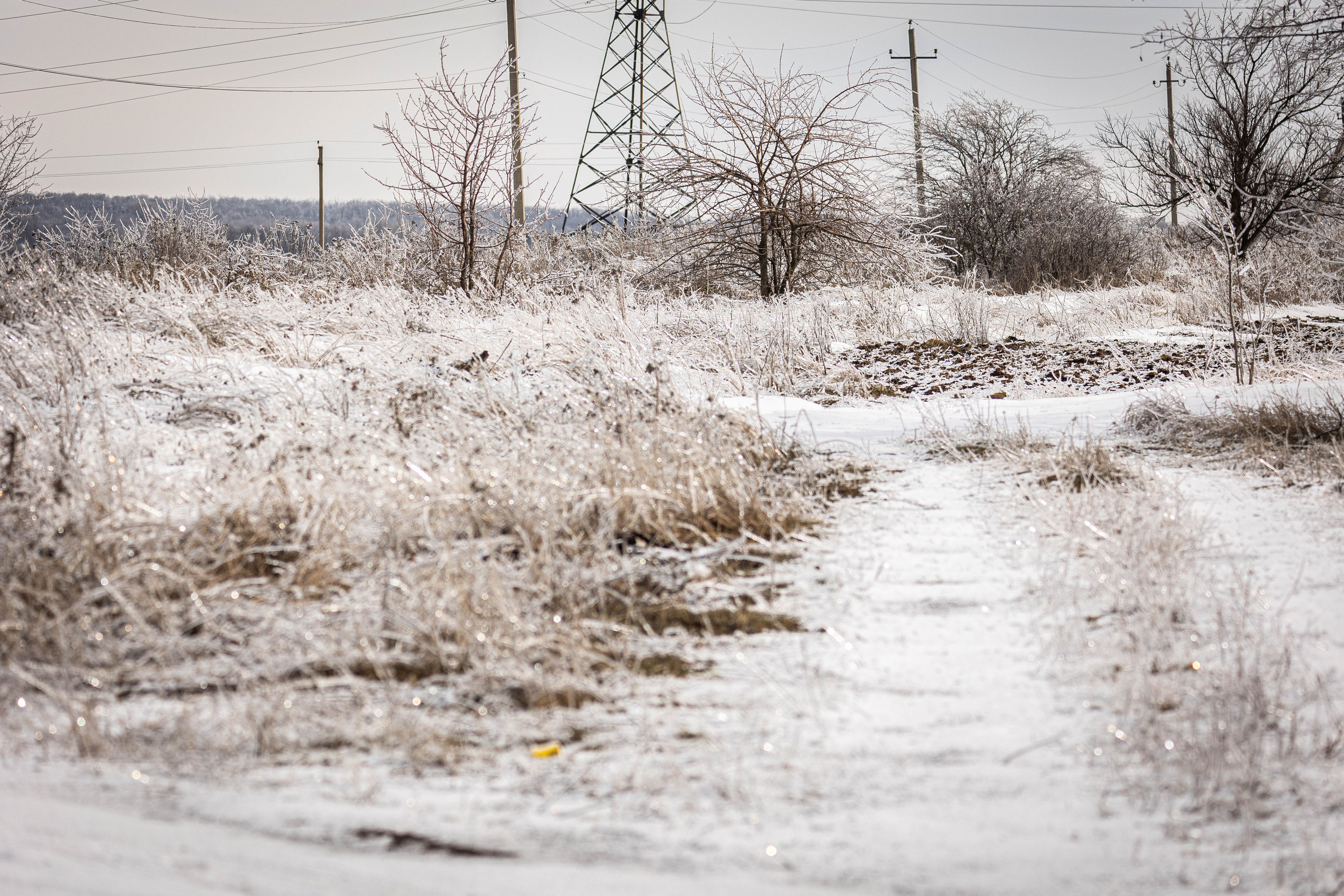 Дикий животный мир. Фотограф-АниМалист Анна Абрамова