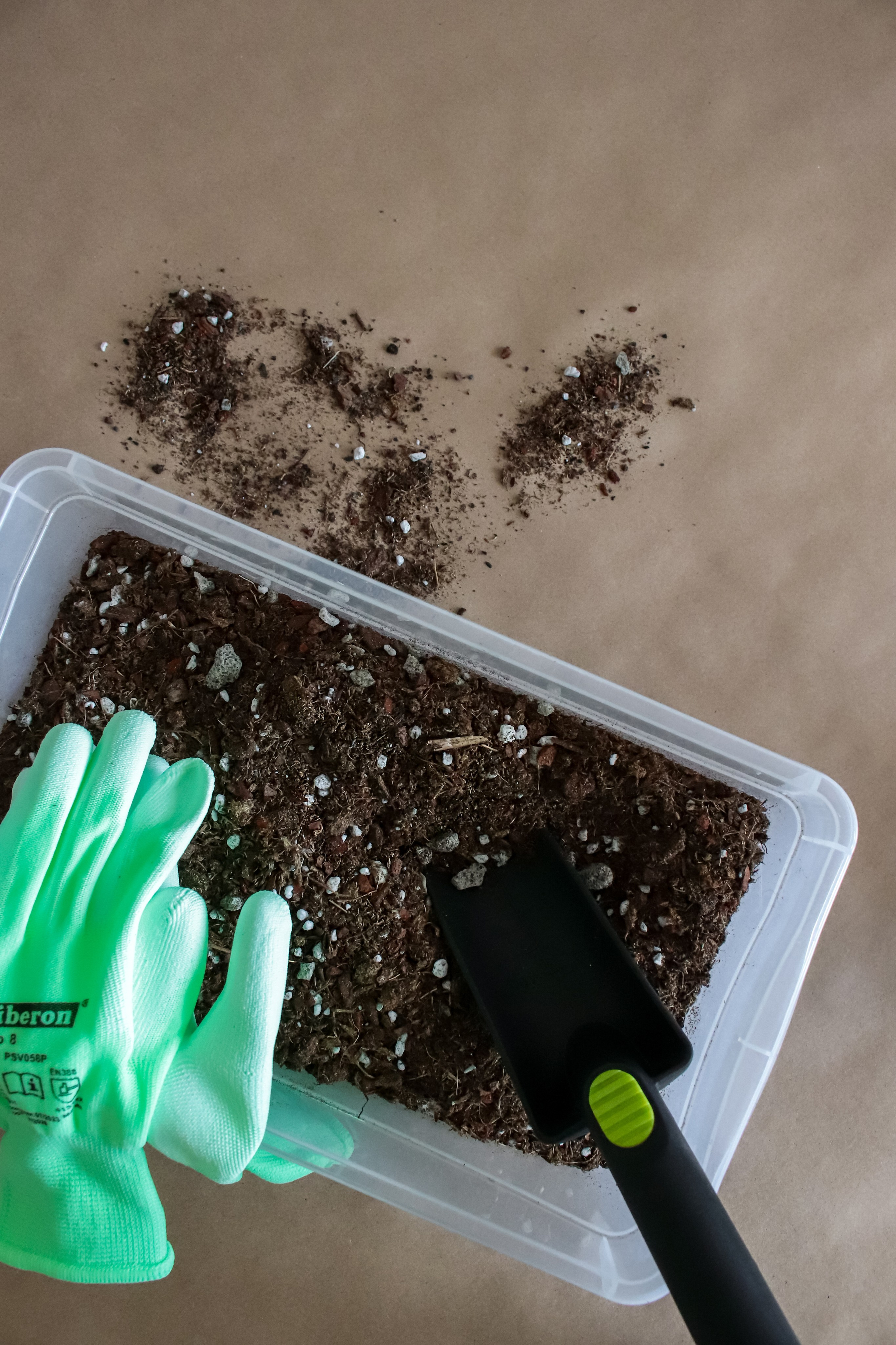 Контент съёмка для фитодизайнера. Фотограф Химки Анна Татарских