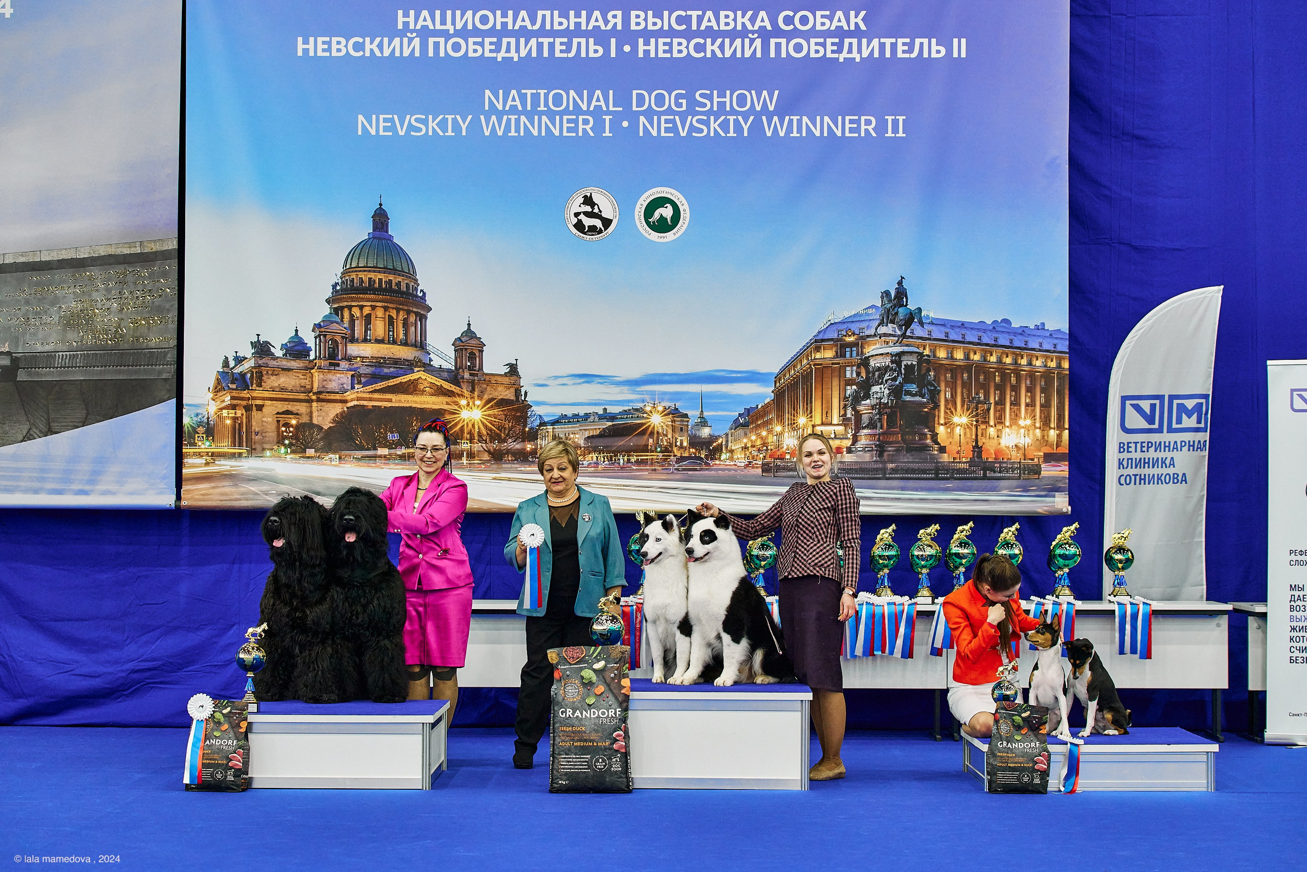 РЕЙТИНГОВАЯ ВЫСТАВКА СОБАК ВСЕХ ПОРОД С ОСОБЫМ СТАТУСОМ"НЕВСКИЙ ПОБЕДИТЕЛЬ-2024-2"