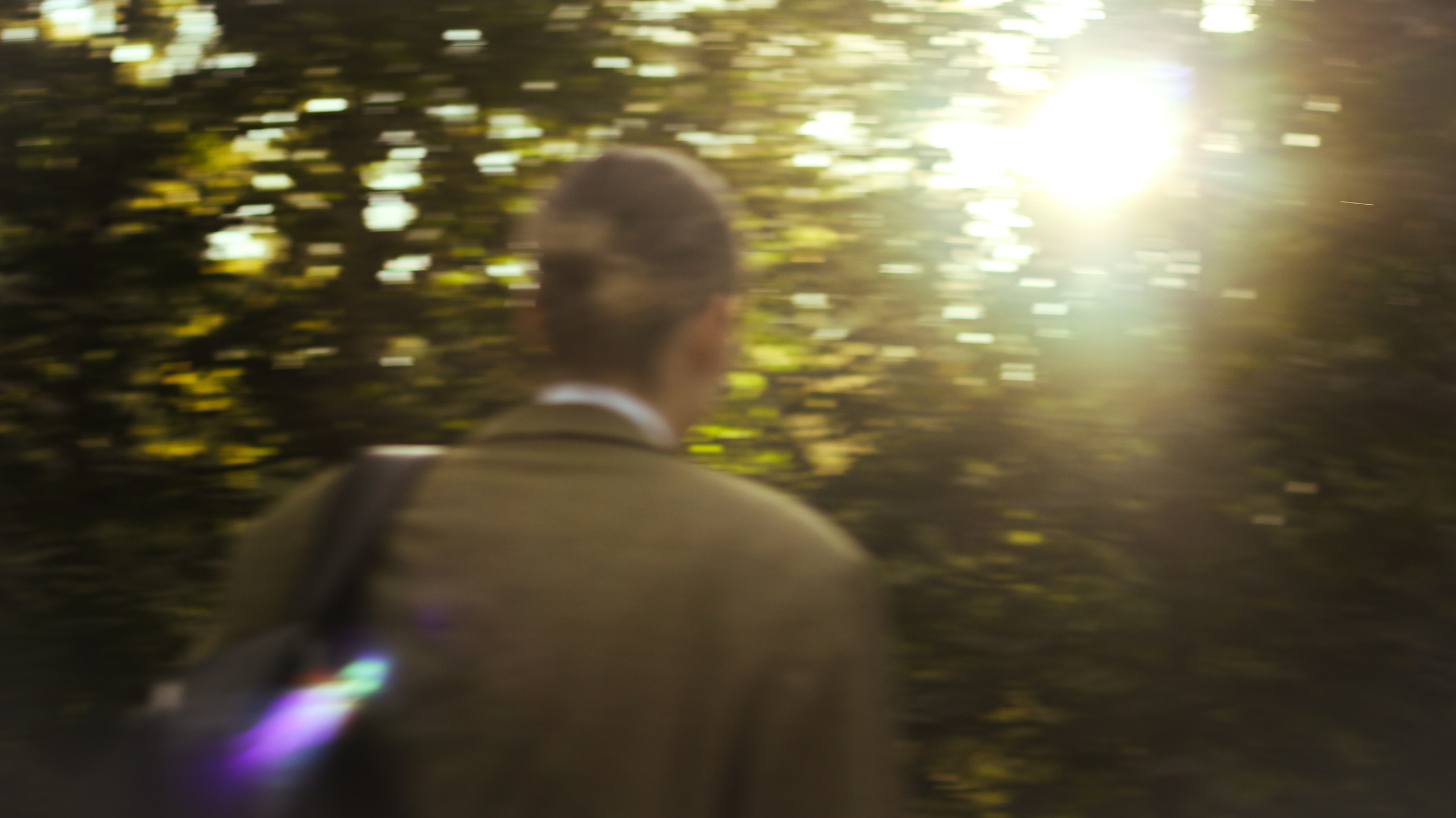 Осень. Портретный фотограф DanilNabody