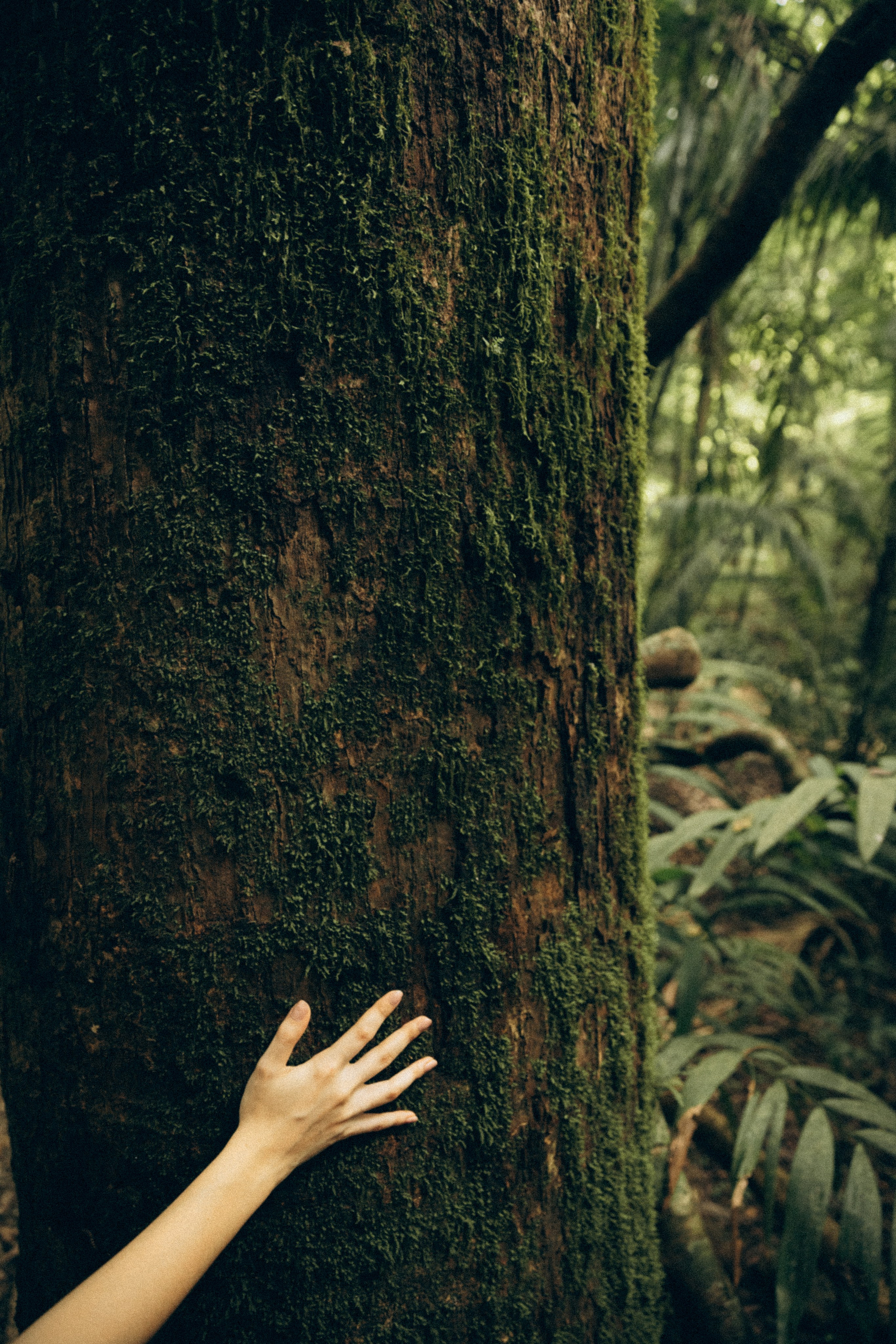 Vicky. Портретный фотограф / Панама / Анастасия Елизарова