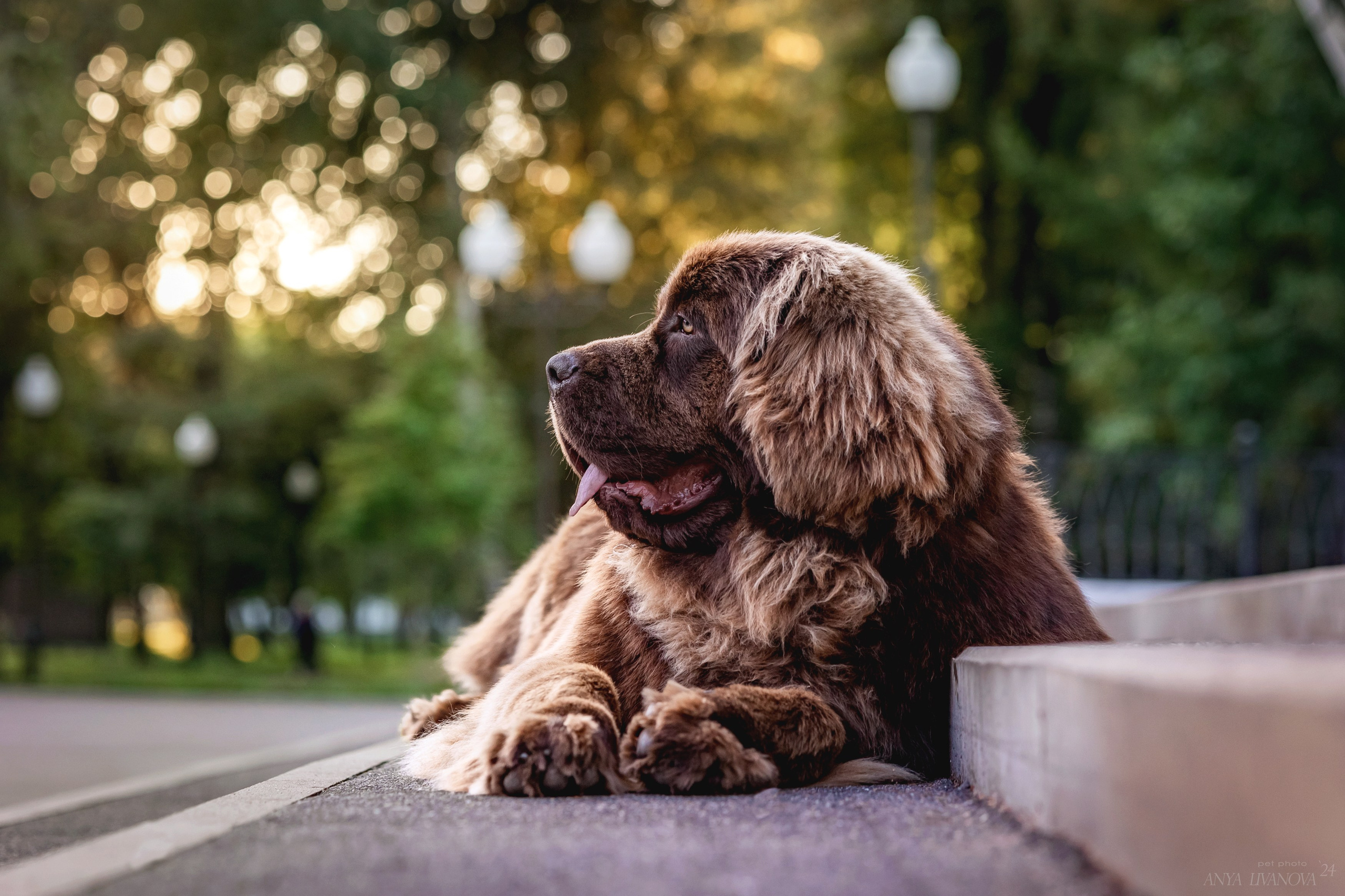 Маша — Мила — Миша. Фотограф анималист Аня Ливанова | Рыбинск