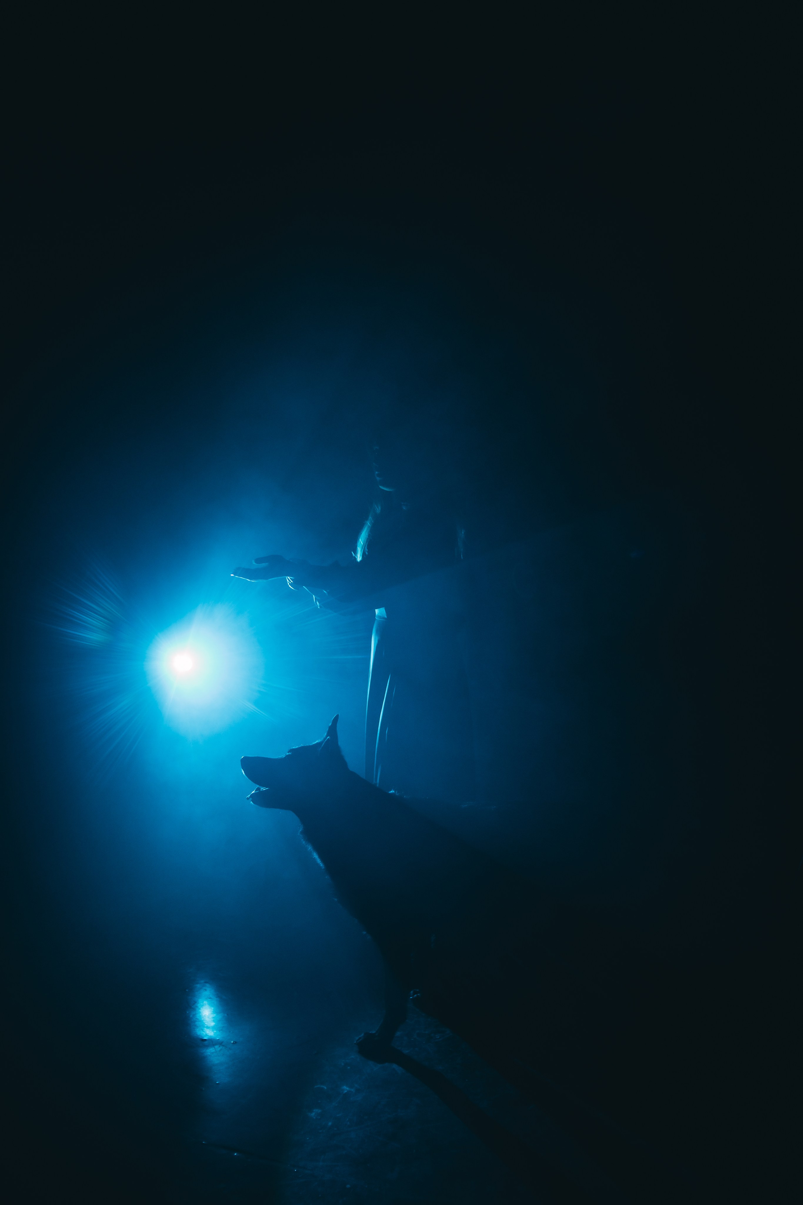 Ангелина. Заколдованный лес. Фотограф Регина Крикунова г. Красноярск