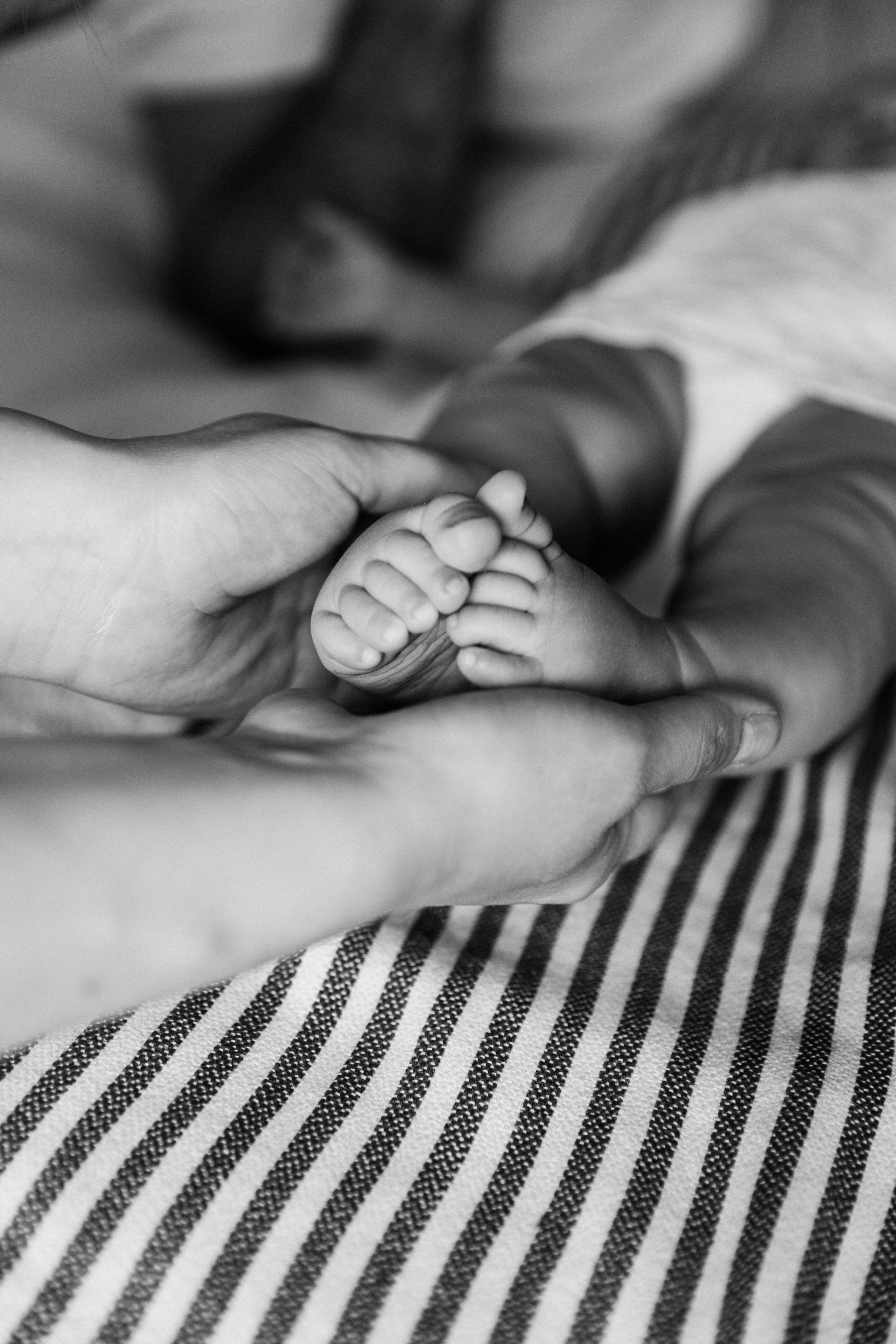 Стоимость индивидуальной семейная / Love Story / Съёмка беременности. Фотограф Евгения Климова