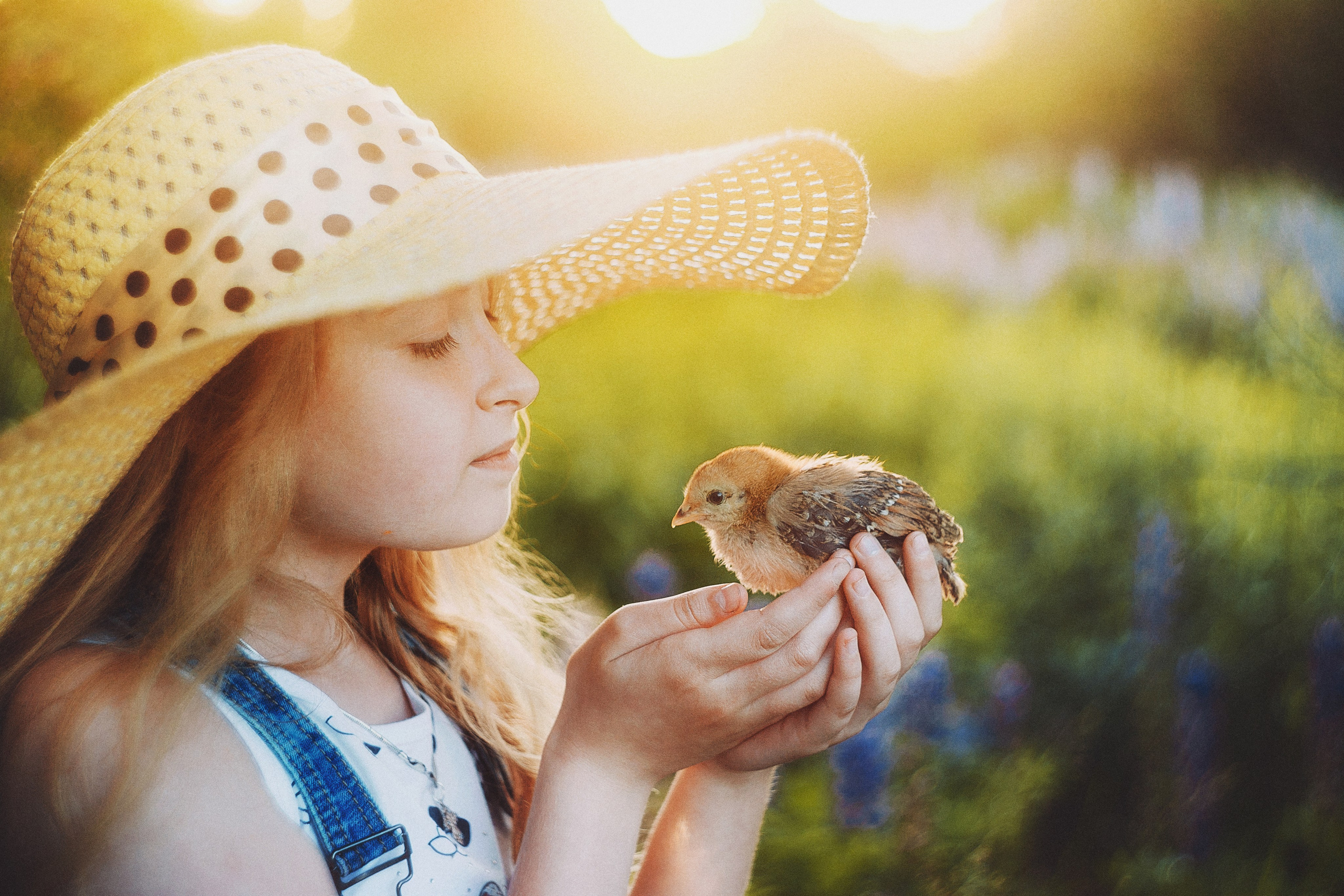 Солнечная Алена в Люпинах. Фотограф Сергей Логинов